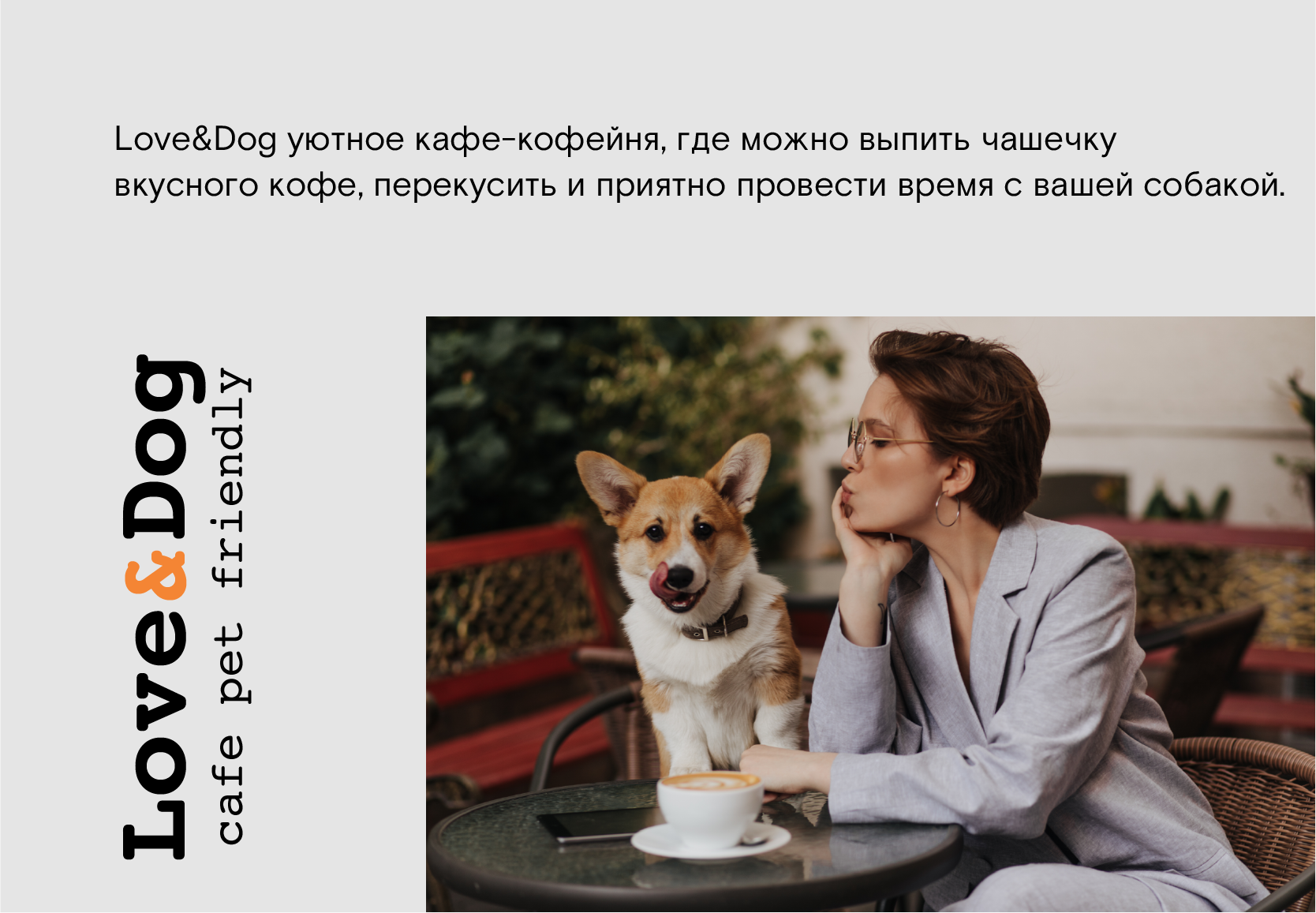 Cafe Brand Identity | PET FRIENDLY — Изображение №3 — Брендинг на Dprofile