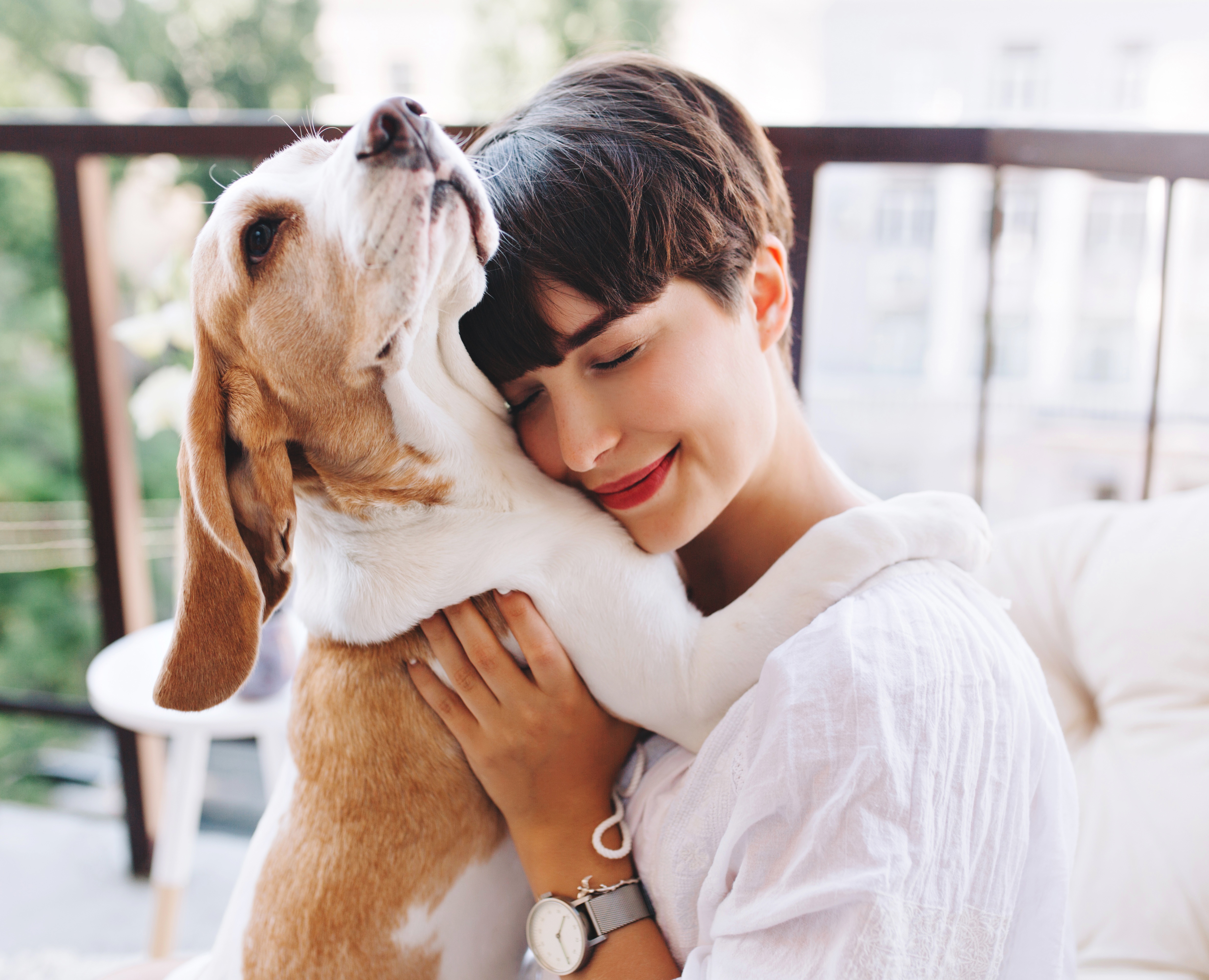 Cafe Brand Identity | PET FRIENDLY — Брендинг на Dprofile