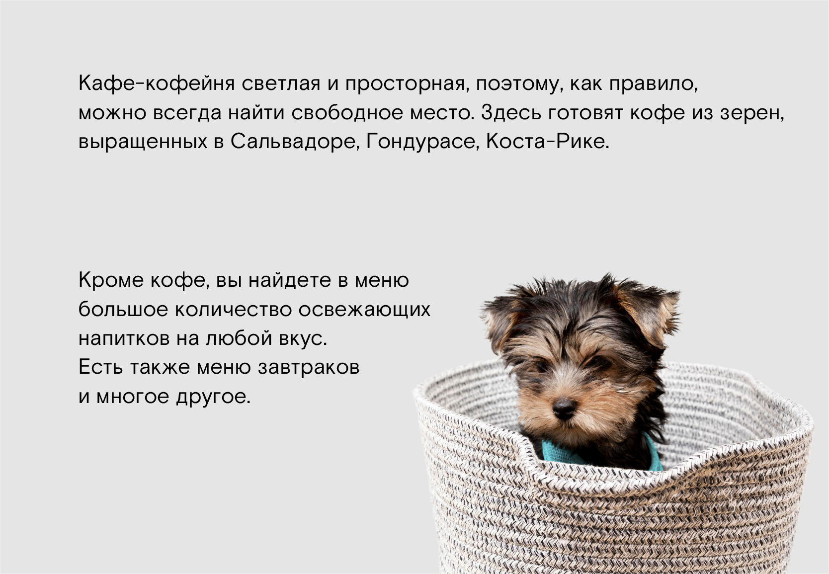 Cafe Brand Identity | PET FRIENDLY — Изображение №5 — Брендинг на Dprofile