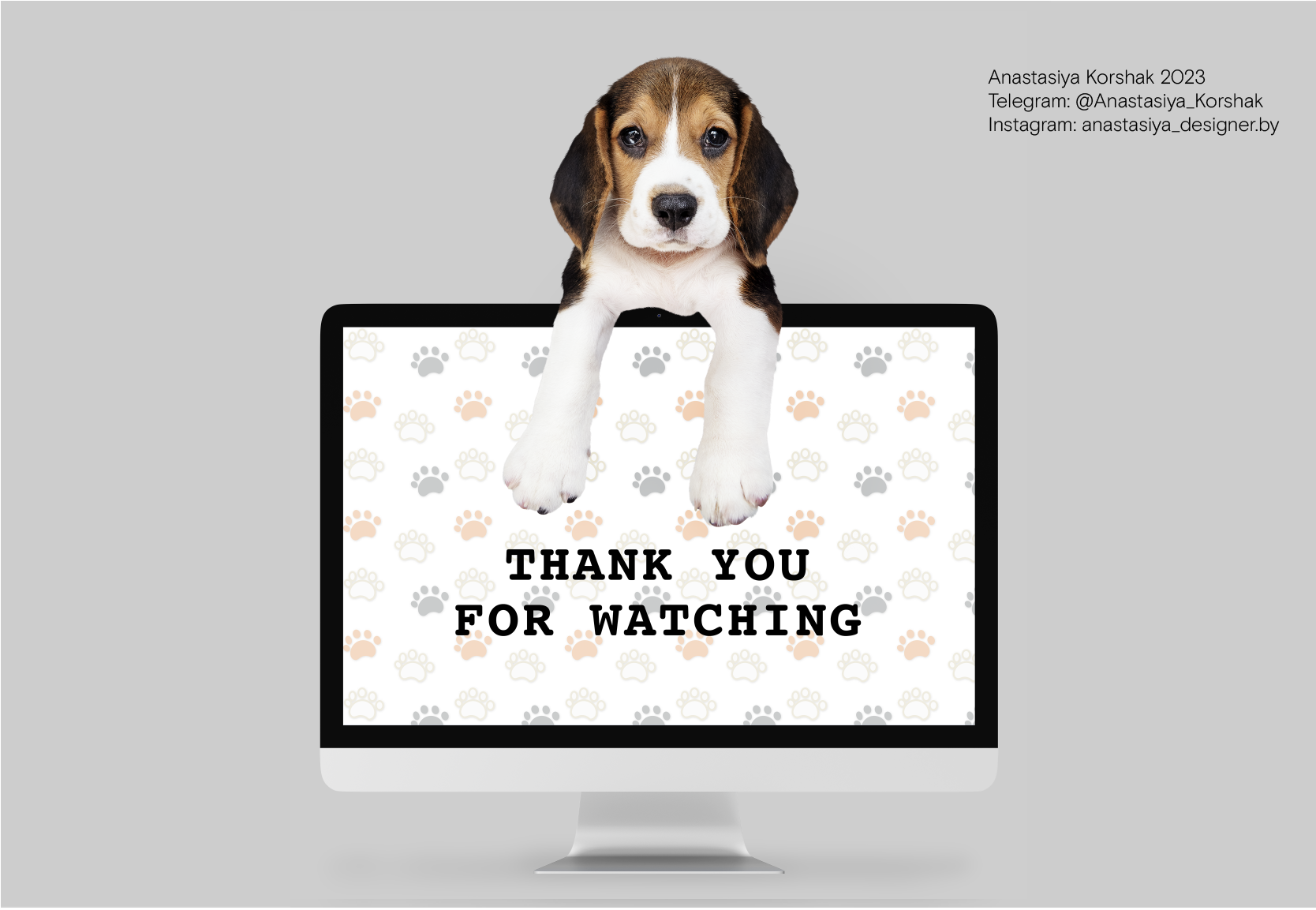 Cafe Brand Identity | PET FRIENDLY — Изображение №12 — Брендинг на Dprofile