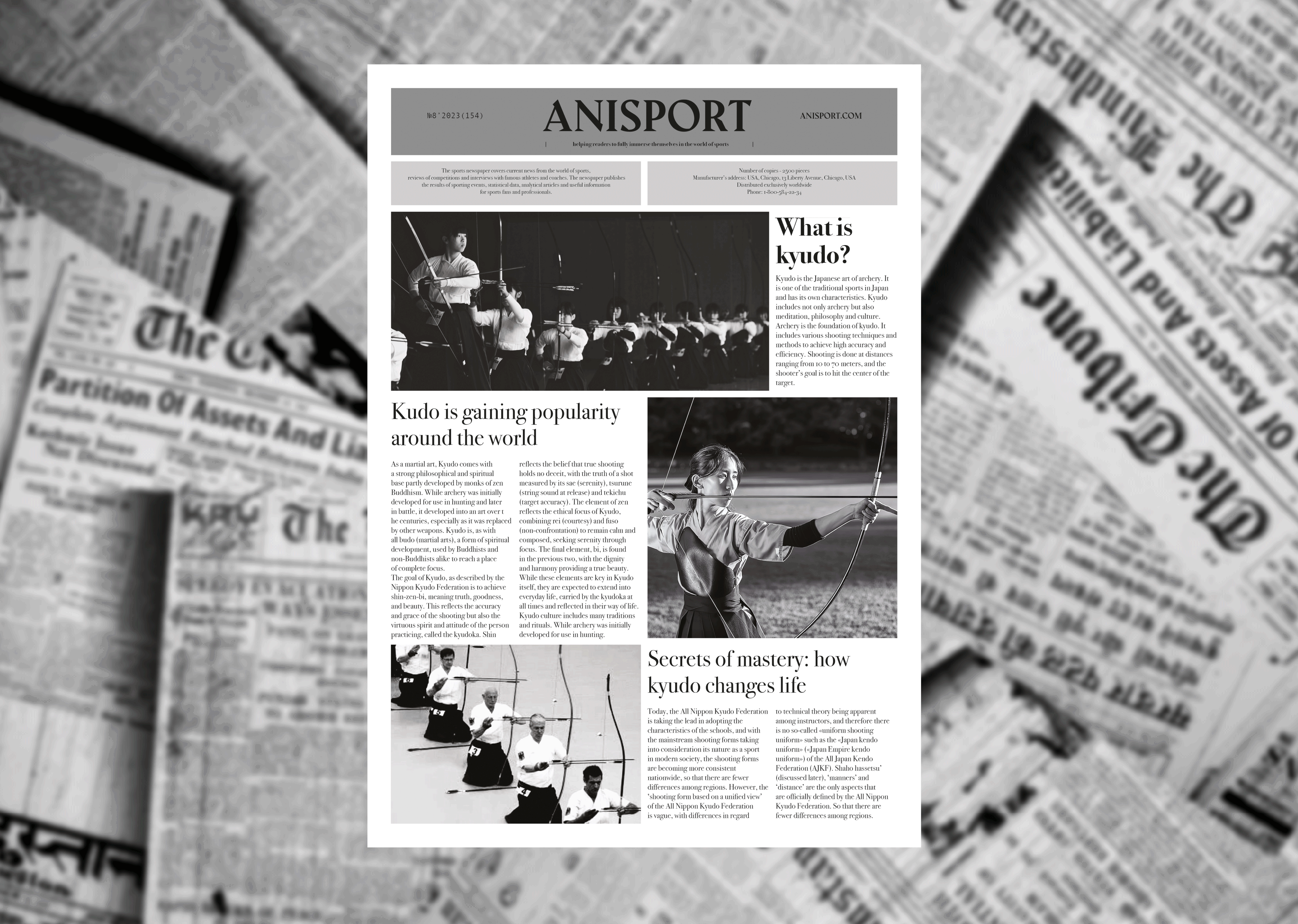 Newspaper design & layout "Anisport" | Верстка газеты — Изображение №2 — Иллюстрация, Графика на Dprofile