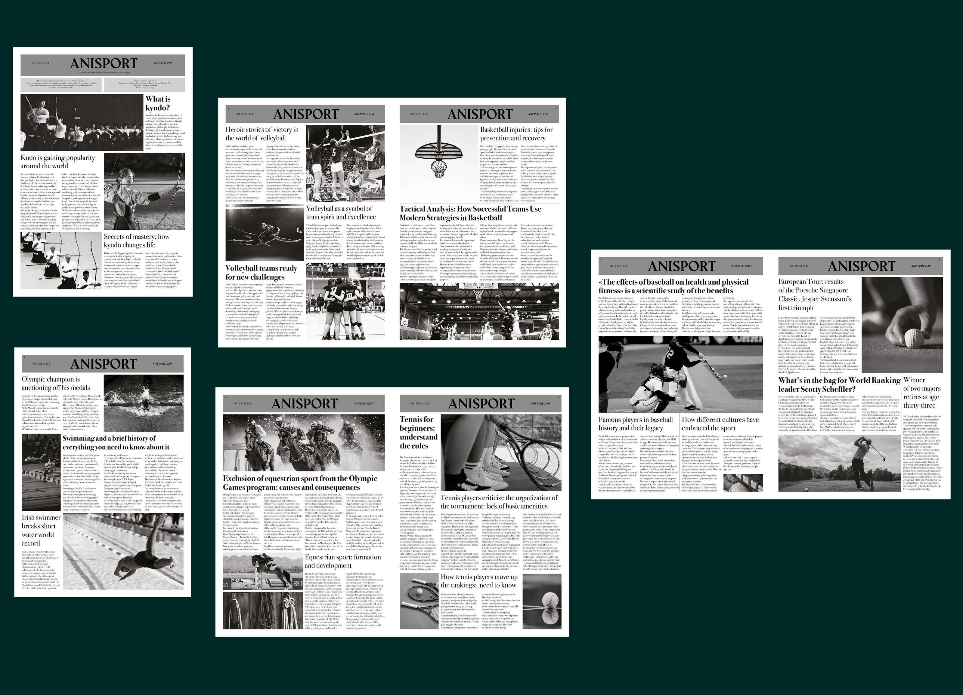 Newspaper design & layout "Anisport" | Верстка газеты — Изображение №14 — Иллюстрация, Графика на Dprofile