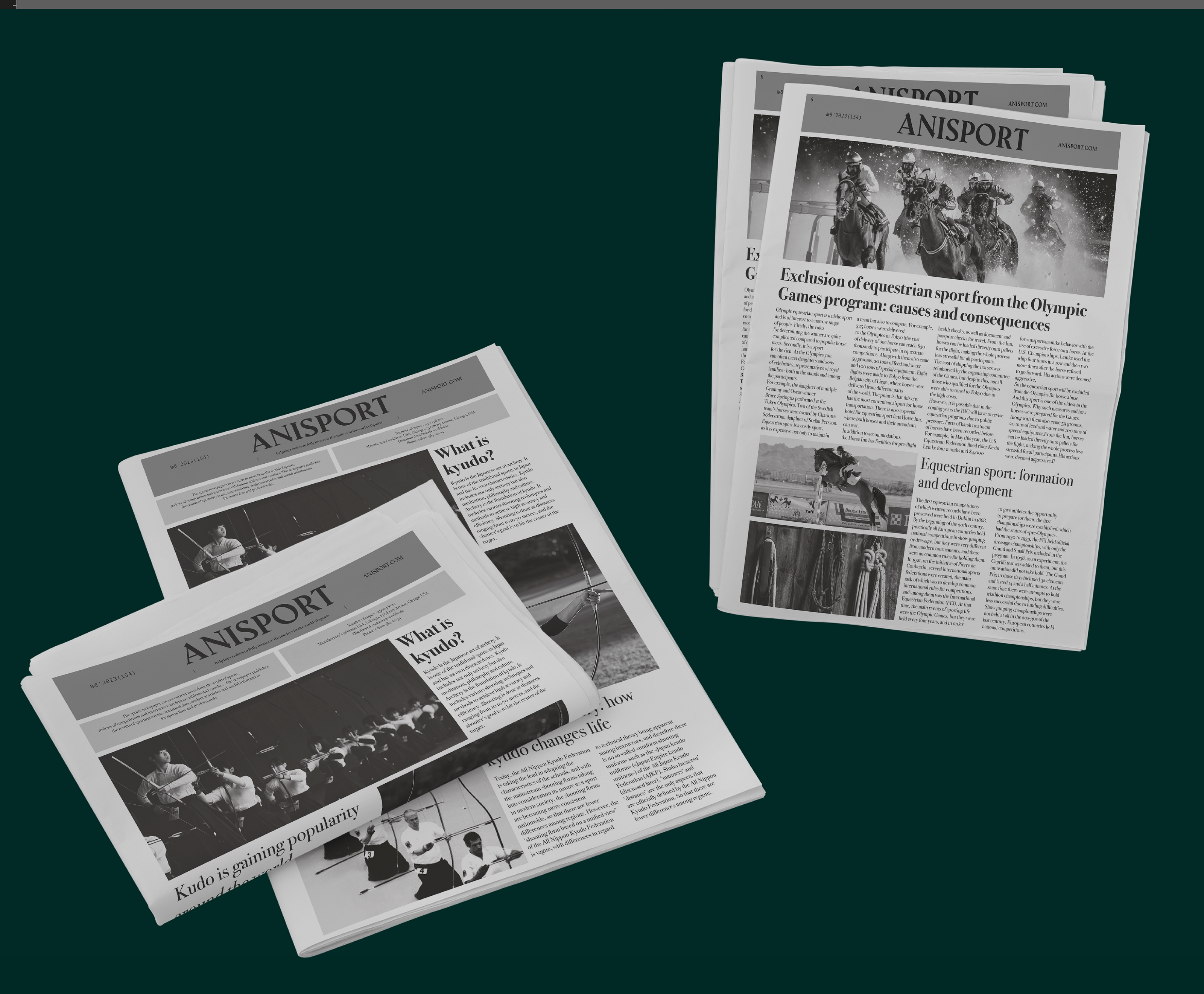 Newspaper design & layout "Anisport" | Верстка газеты — Изображение №4 — Иллюстрация, Графика на Dprofile