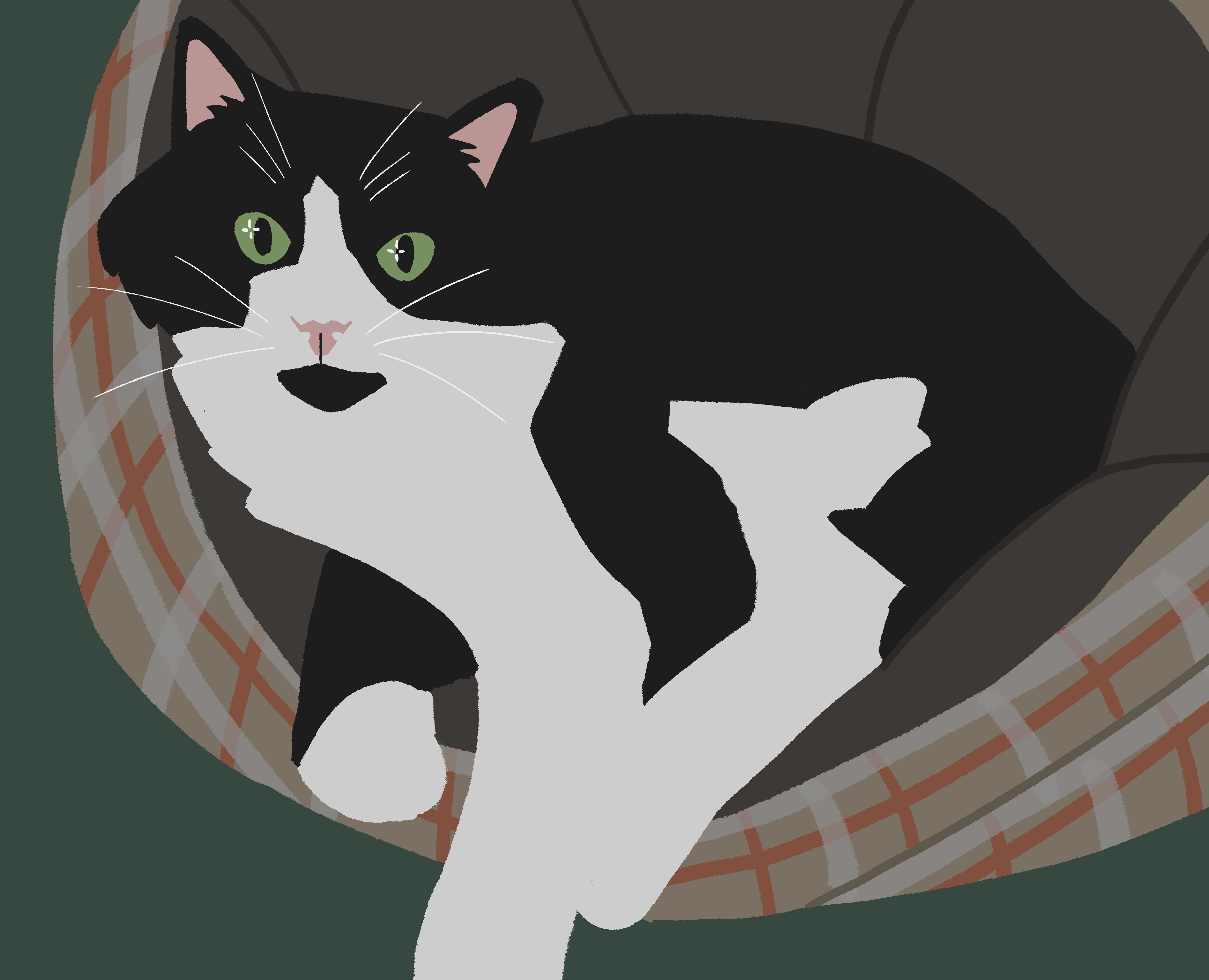 Домашние питомцы на Dprofile