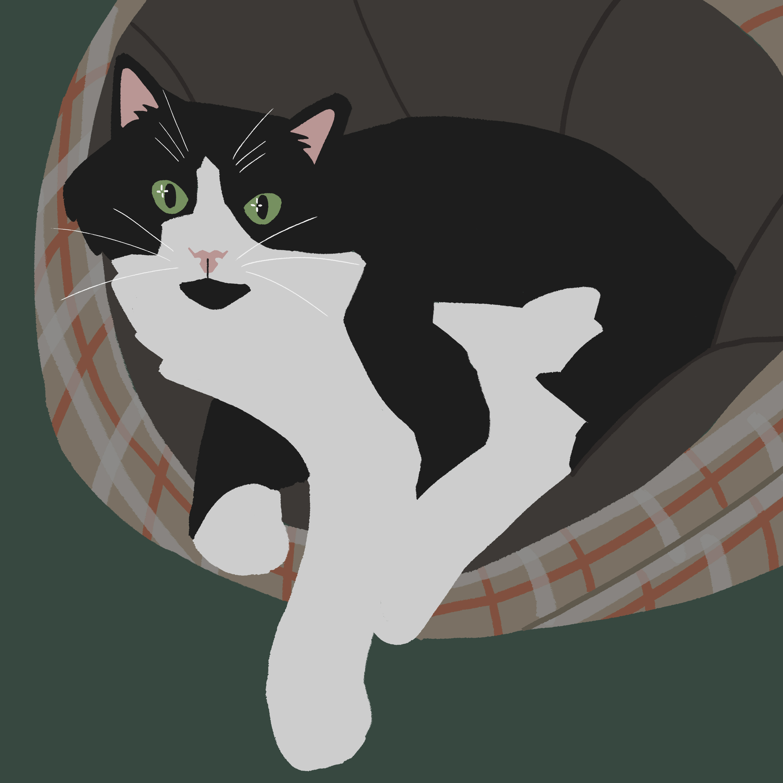 Домашние питомцы — Изображение №1 — Иллюстрация на Dprofile