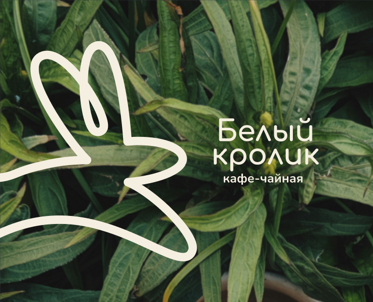 «Белый кролик» кафе чайная | логотип и фирменный стиль — Брендинг на Dprofile