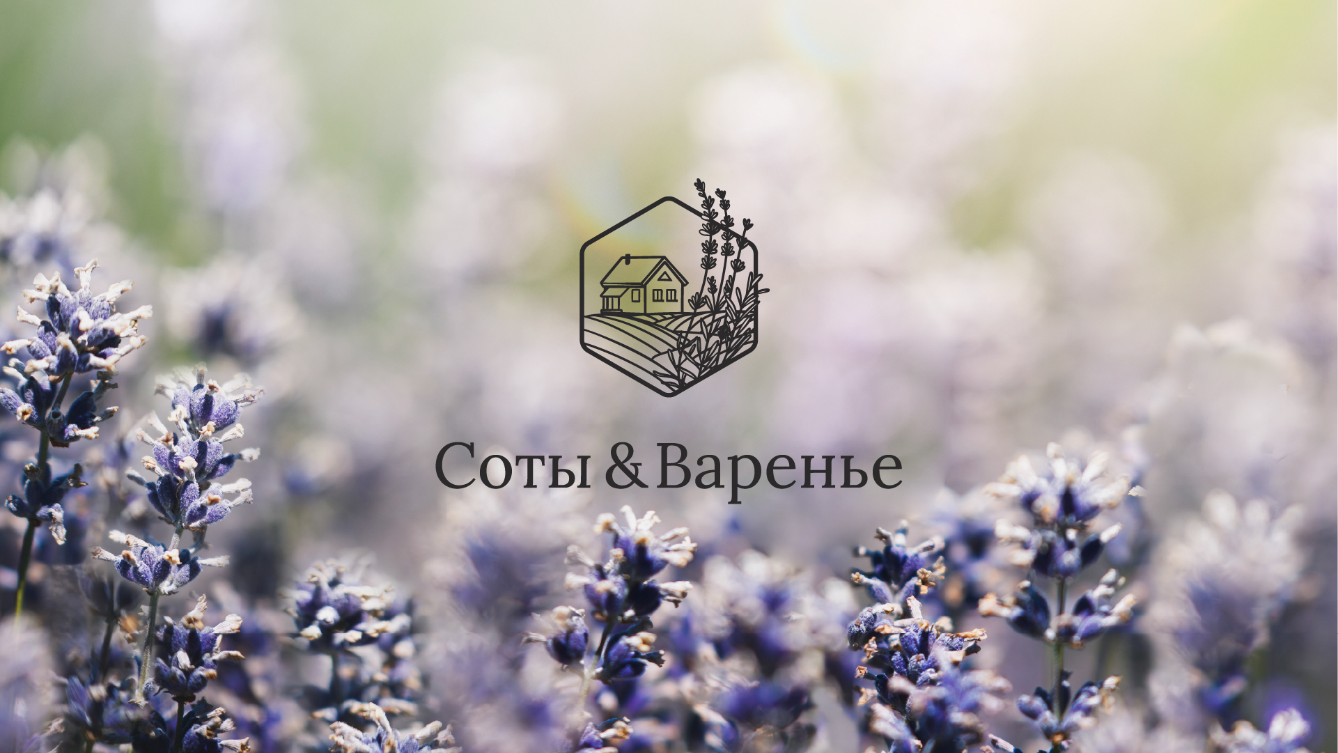 Соты & Варенье|Брендинг для экопарка — Изображение №1 — Брендинг, Графика на Dprofile