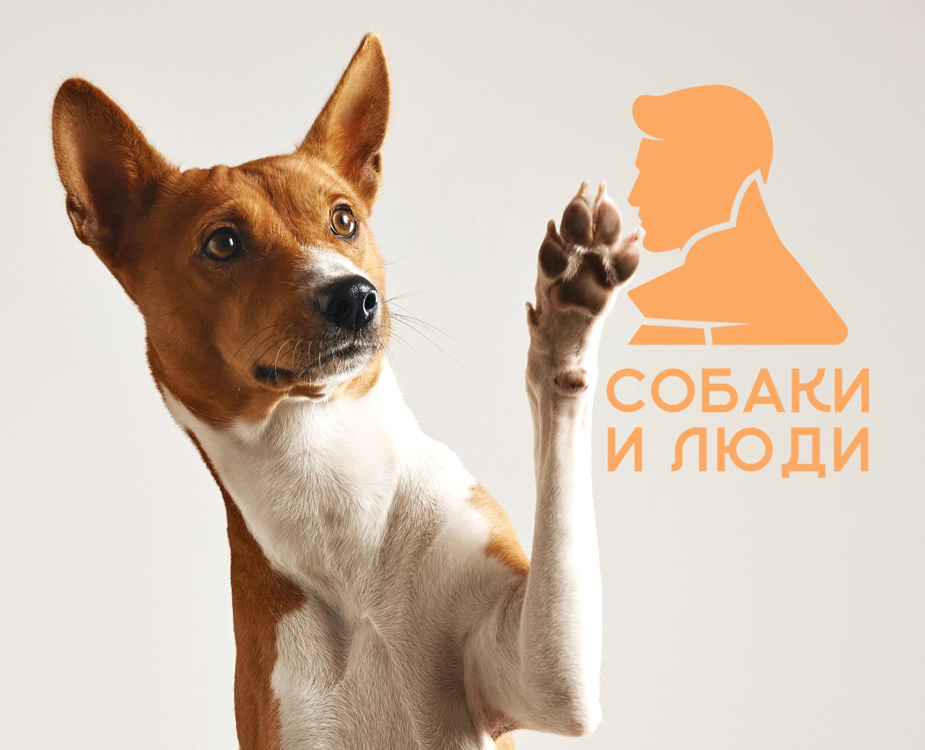 Собаки и Люди | лого и айдентика для НКО — Брендинг на Dprofile