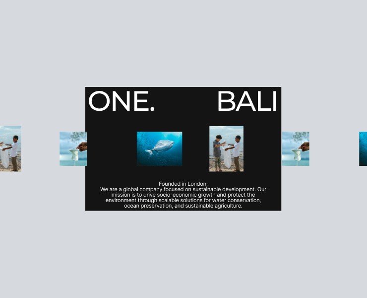 ONE.BALI — Интерфейсы на Dprofile