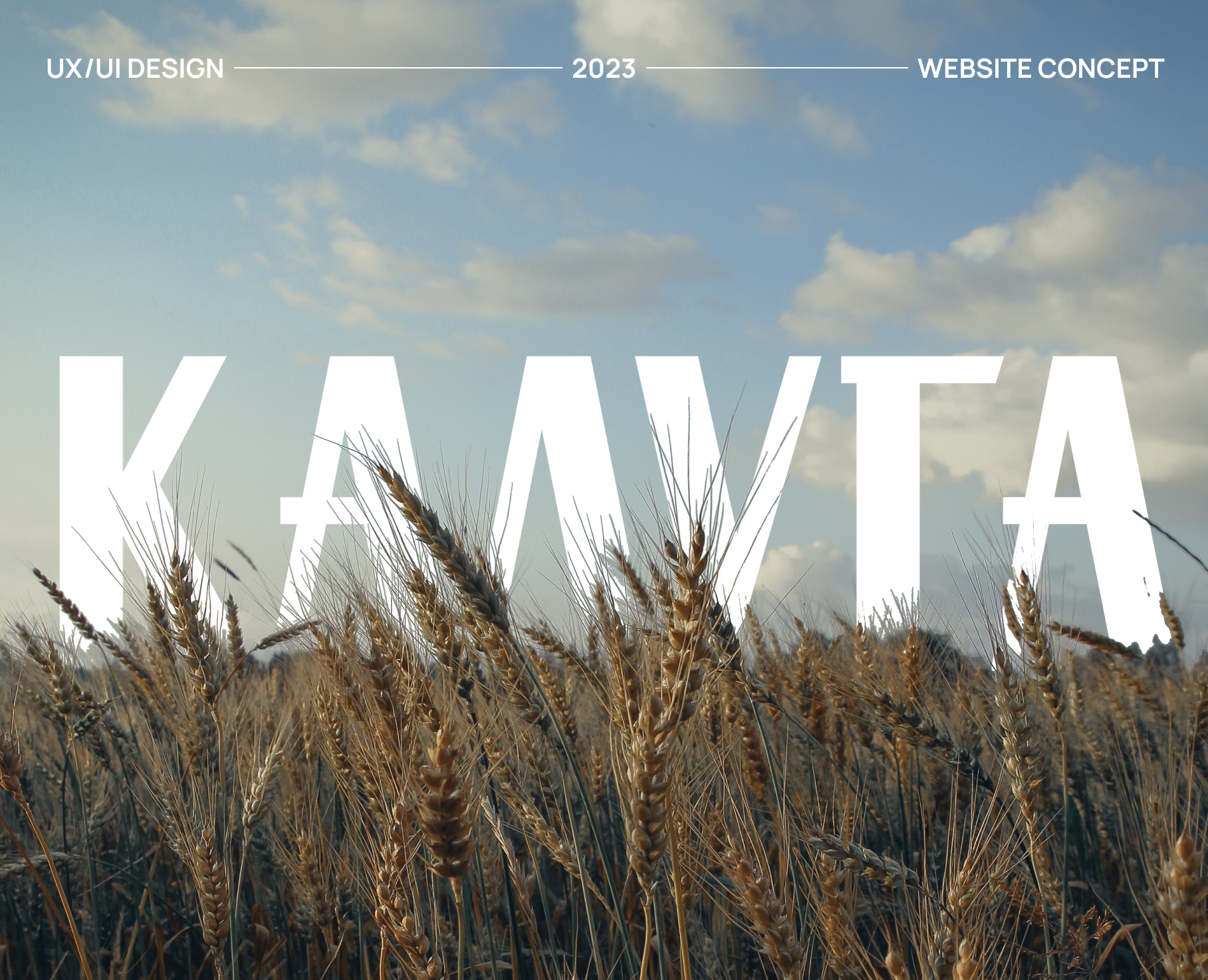 Локальный опыт - Сайт Калужской области — Интерфейсы на Dprofile