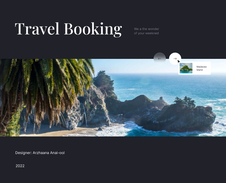 Travel Booking-website UI — Интерфейсы на Dprofile