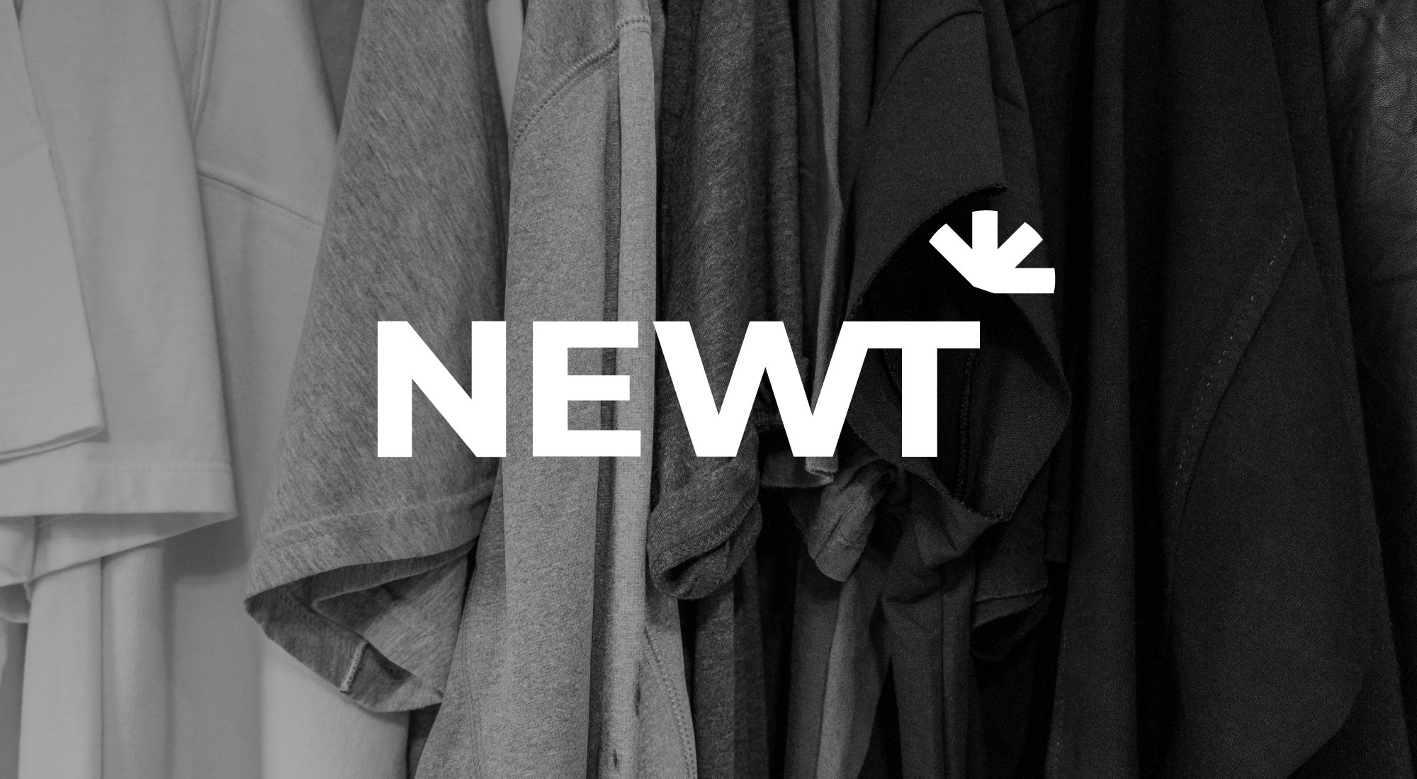 NEWT. BRAND IDENTITY — Изображение №1 — Брендинг, Маркетинг на Dprofile