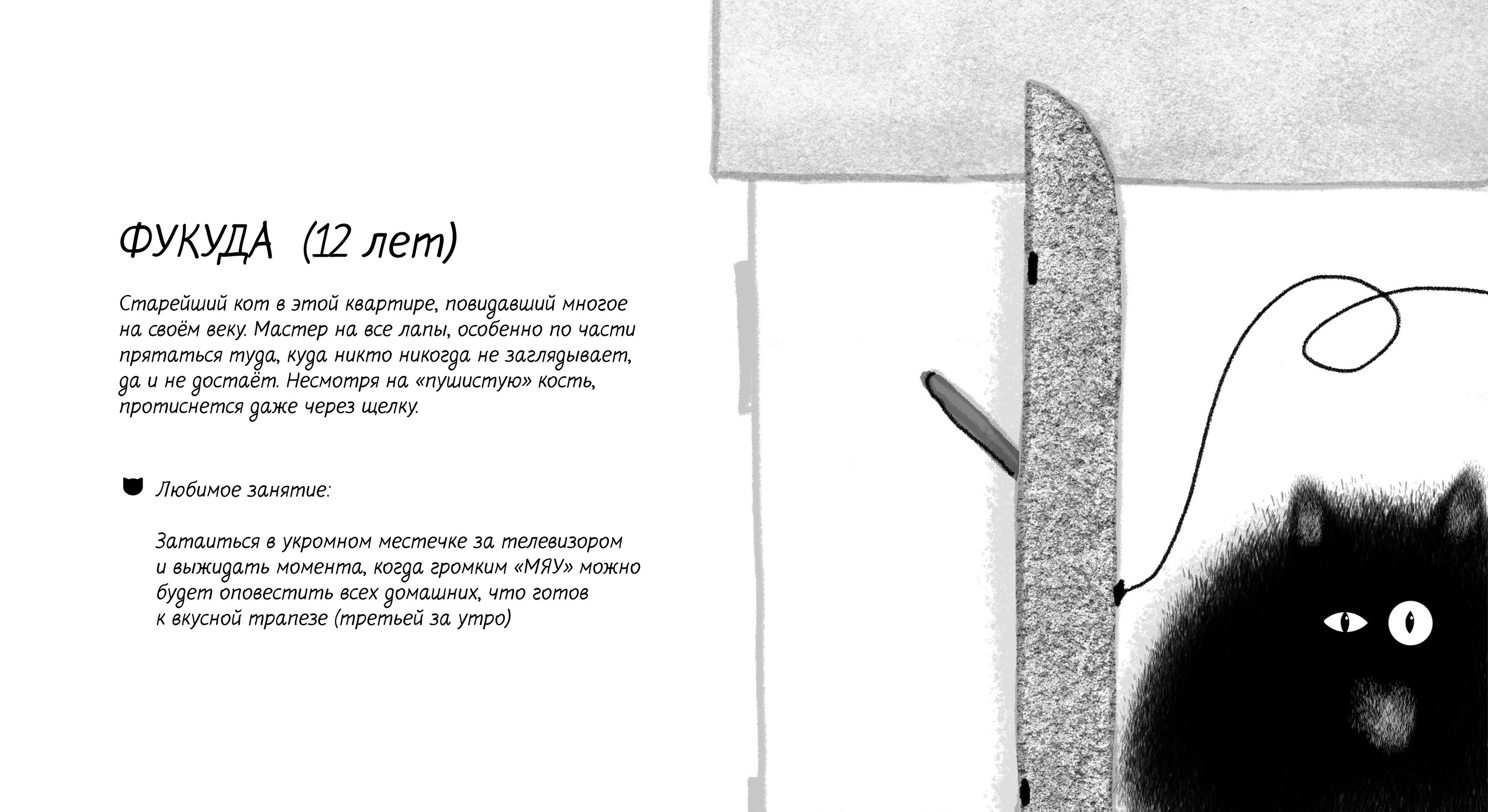 Инфографика о жизни кота в квартире — Изображение №8 — Иллюстрация, Графика на Dprofile
