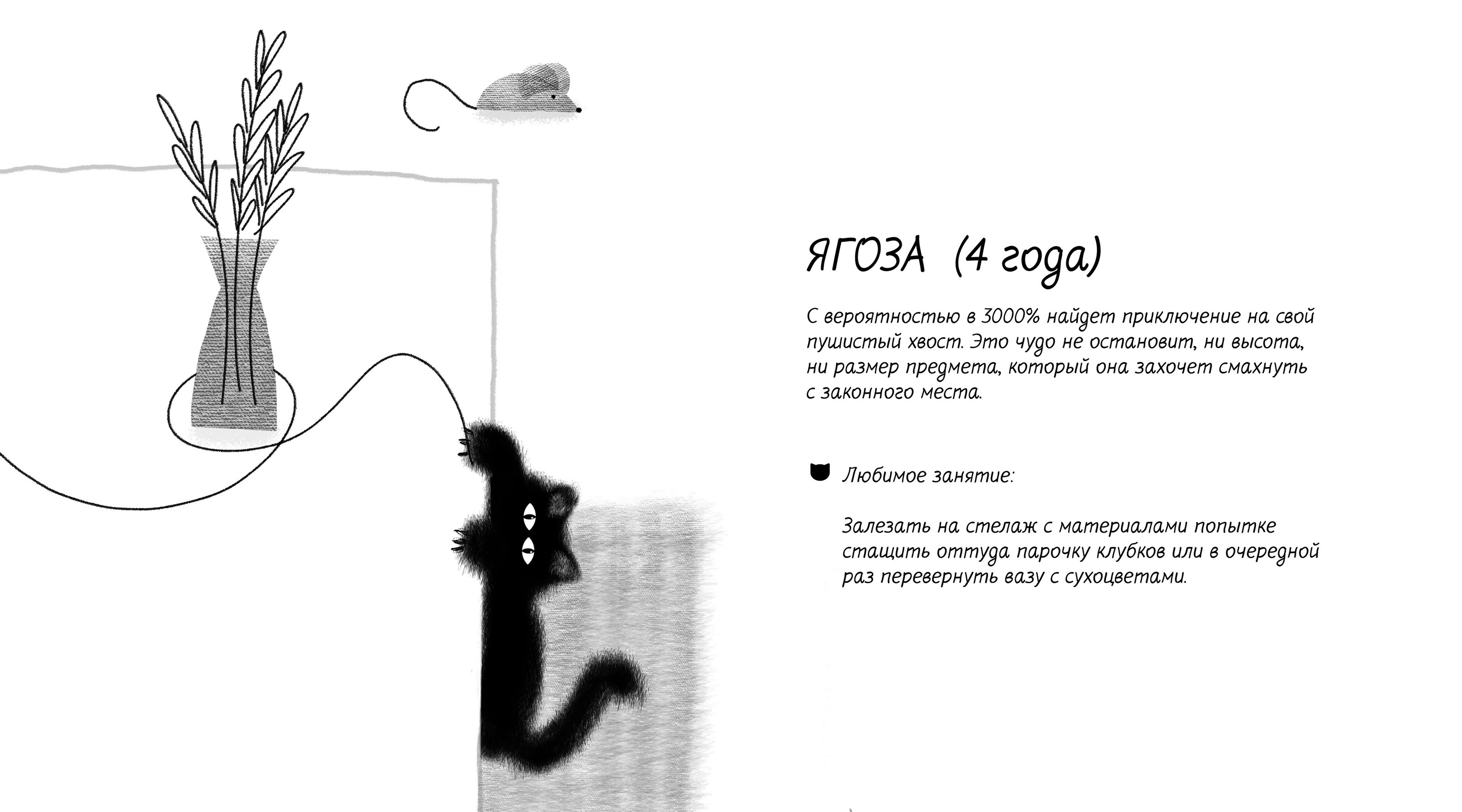 Инфографика о жизни кота в квартире — Изображение №5 — Иллюстрация, Графика на Dprofile