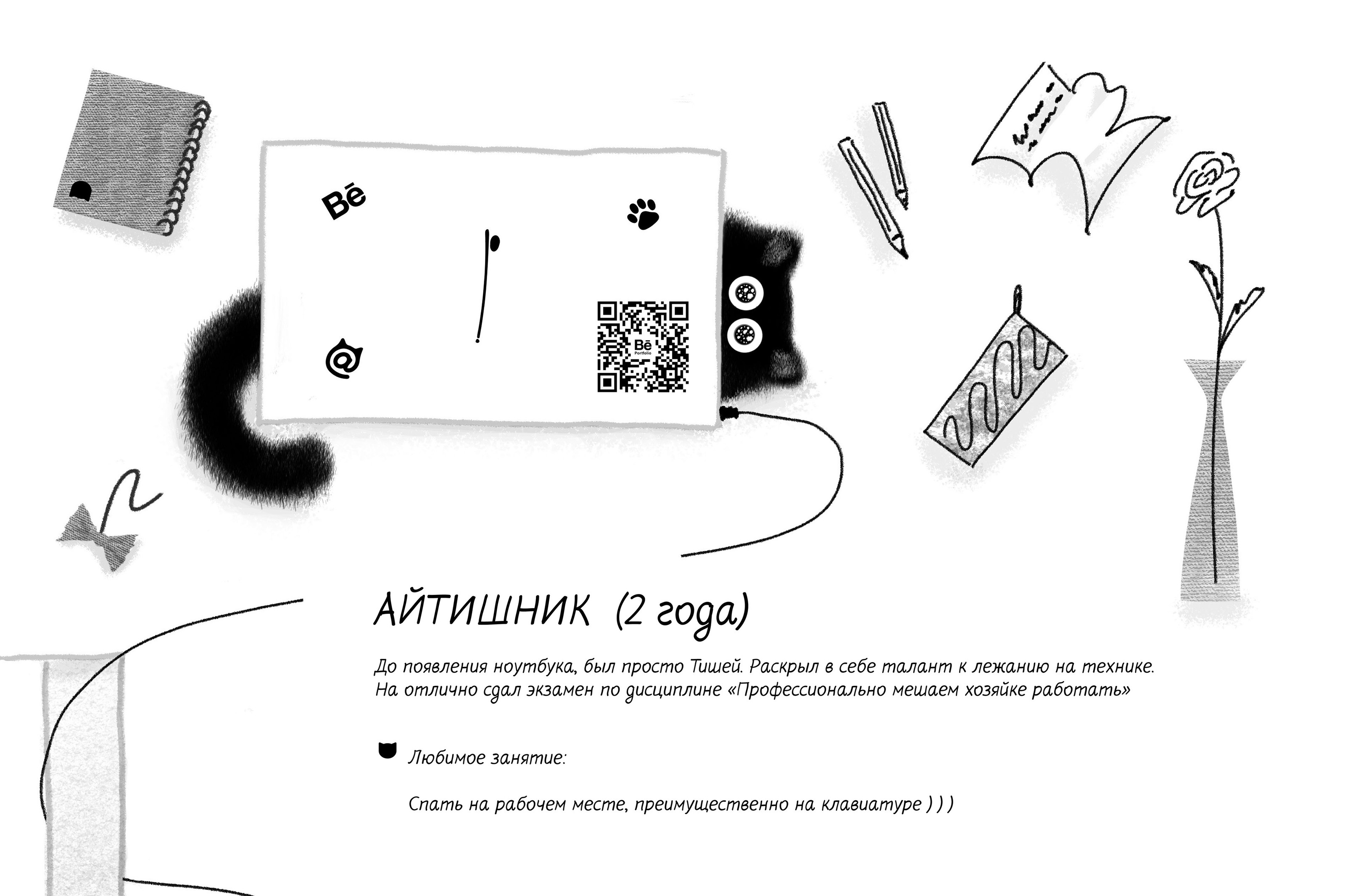 Инфографика о жизни кота в квартире — Изображение №4 — Иллюстрация, Графика на Dprofile