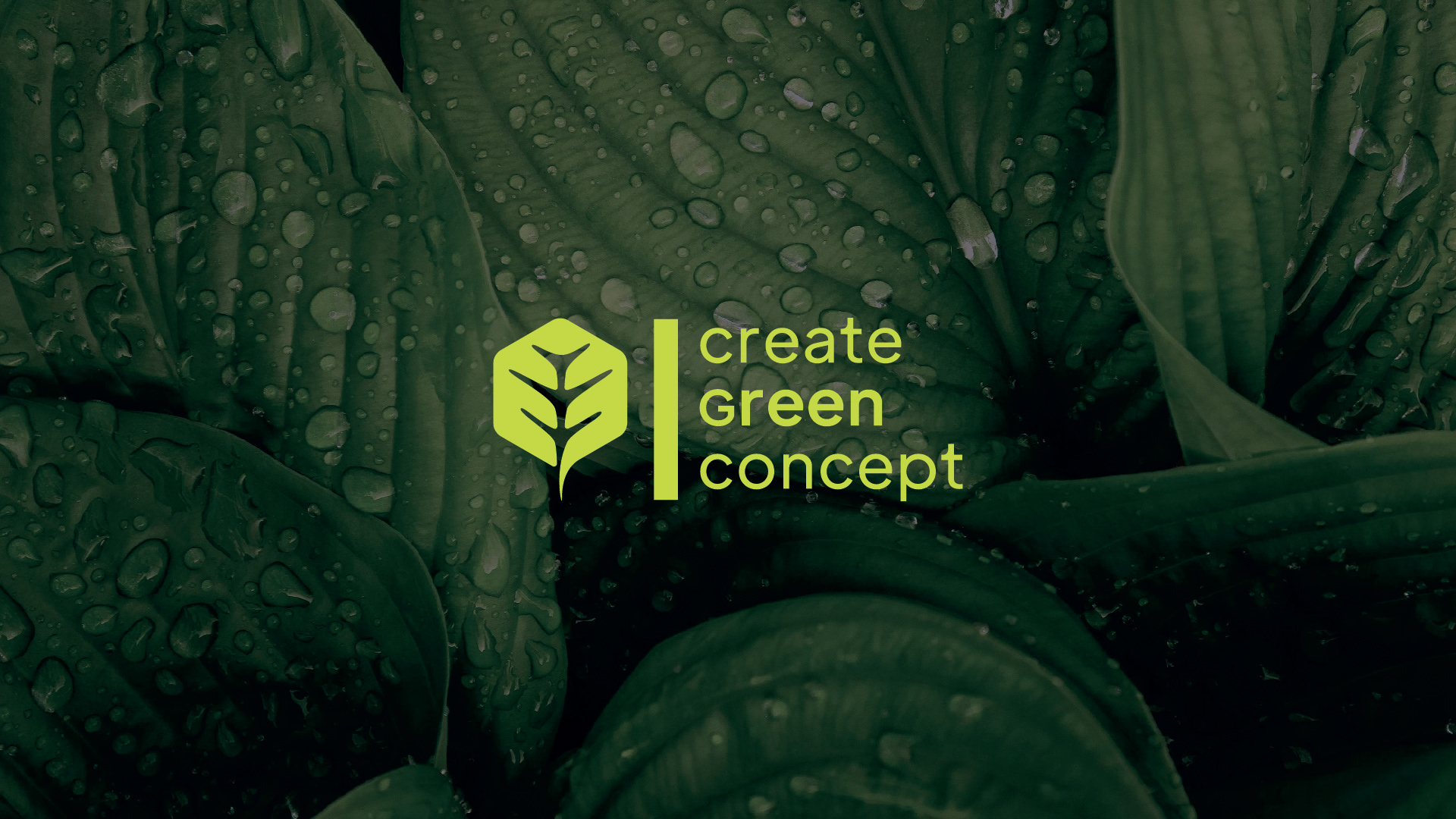 create green concept — Изображение №1 — Брендинг на Dprofile