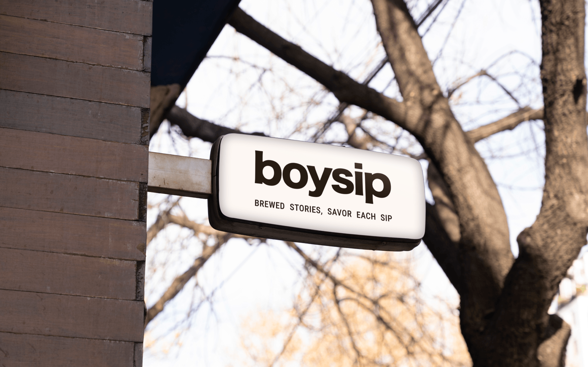 boysip — Изображение №5 — Брендинг, Иллюстрация на Dprofile
