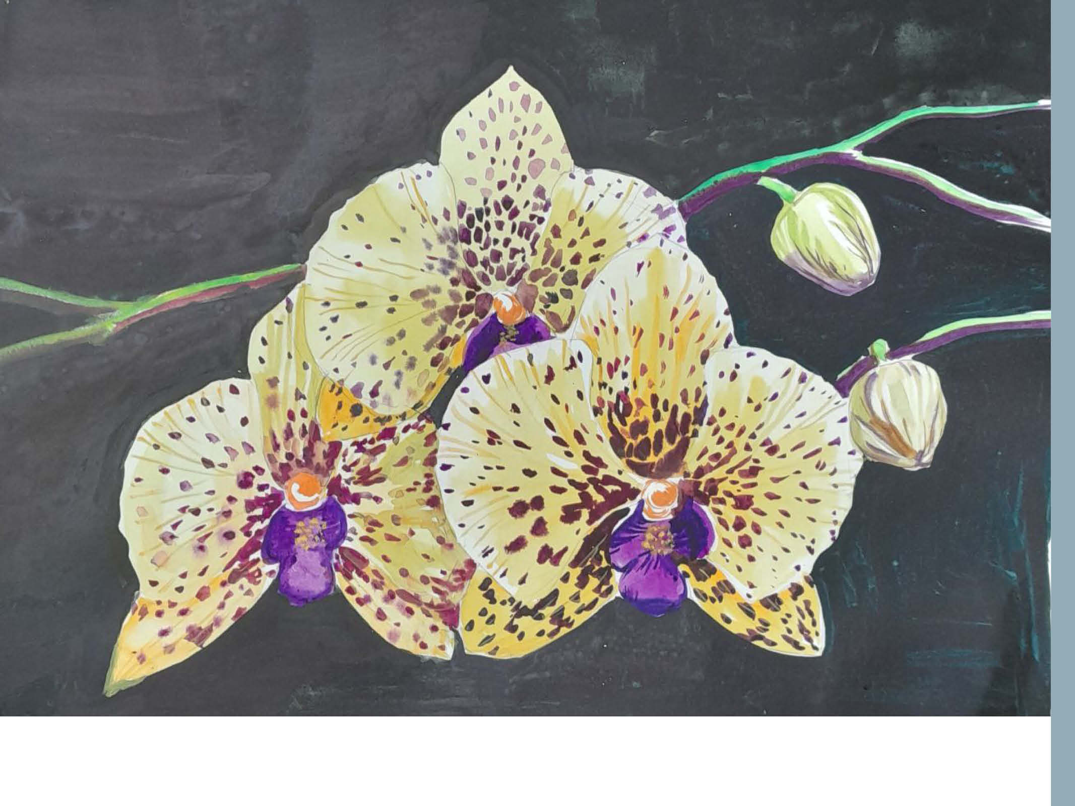 Портфолио работ — Изображение №39 — Иллюстрация на Dprofile