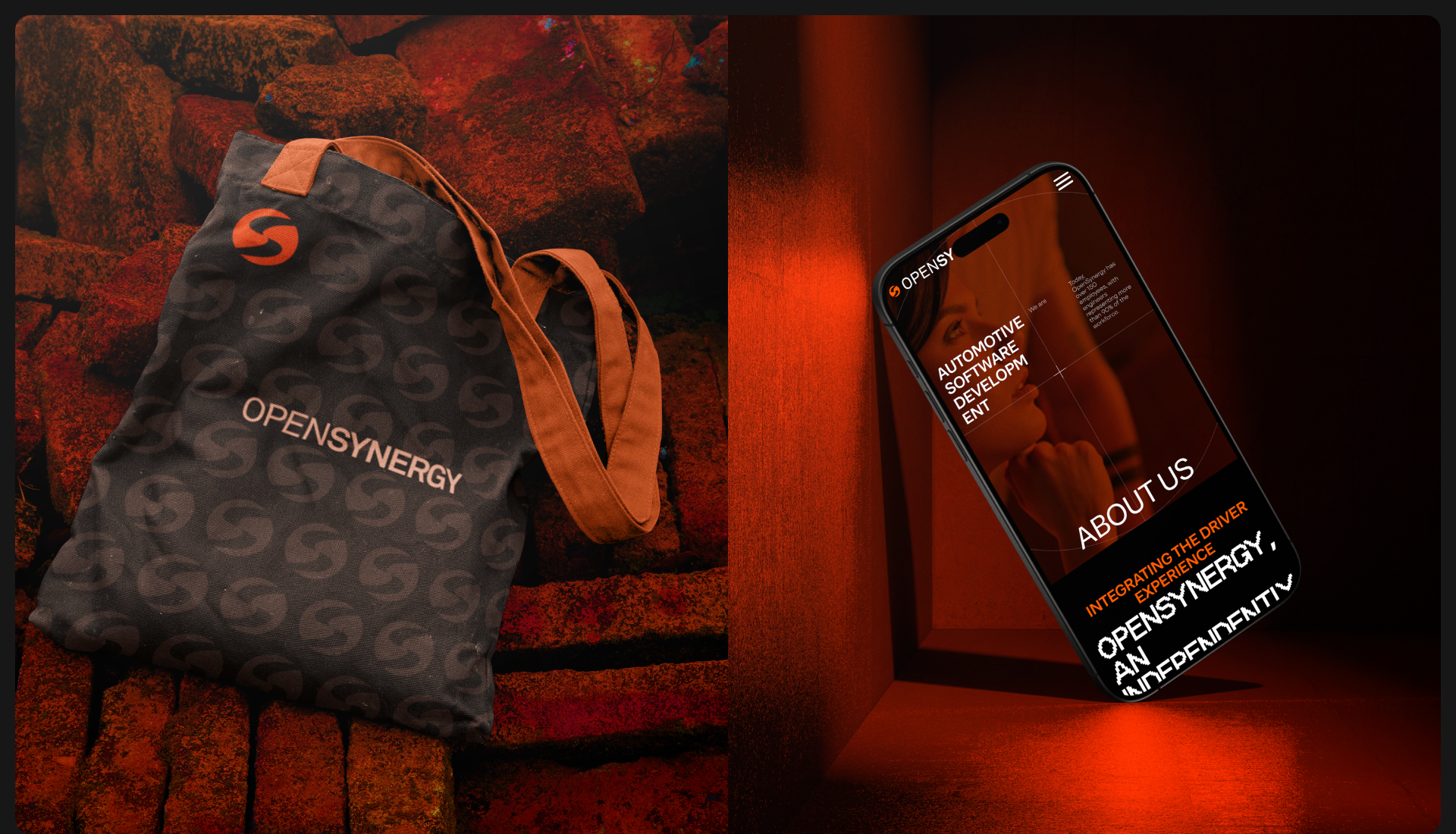 OPENSYNERGY | Corporate Website Redesign — Изображение №9 — Интерфейсы на Dprofile