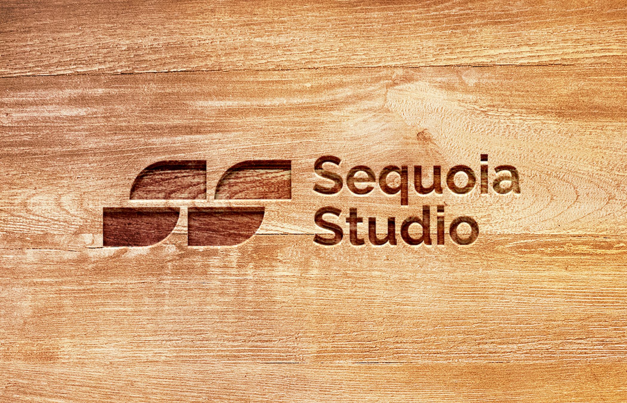 Редизайн фирменного стиля Sequoia Studio — Изображение №1 — Брендинг на Dprofile