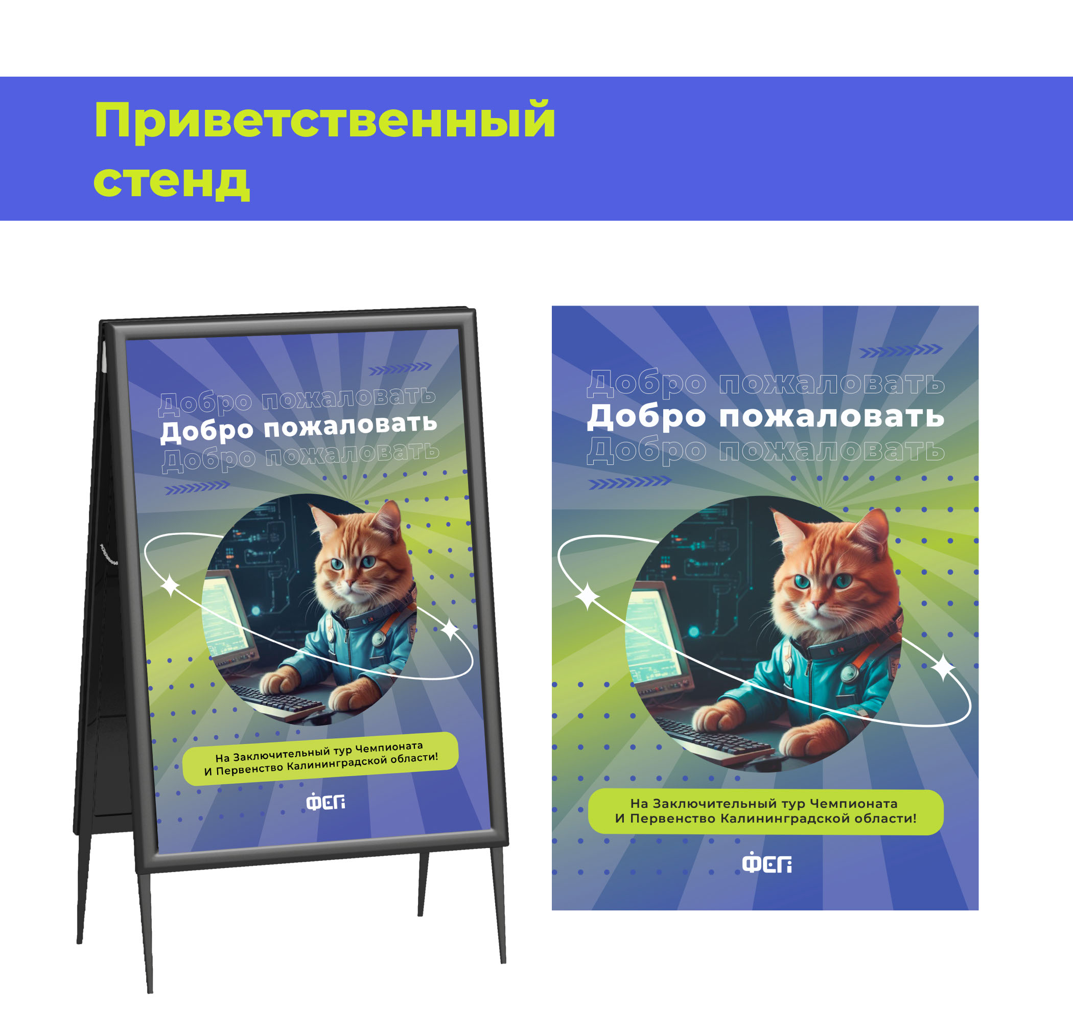 Фирменный стиль для ФСП — Изображение №18 — Брендинг на Dprofile