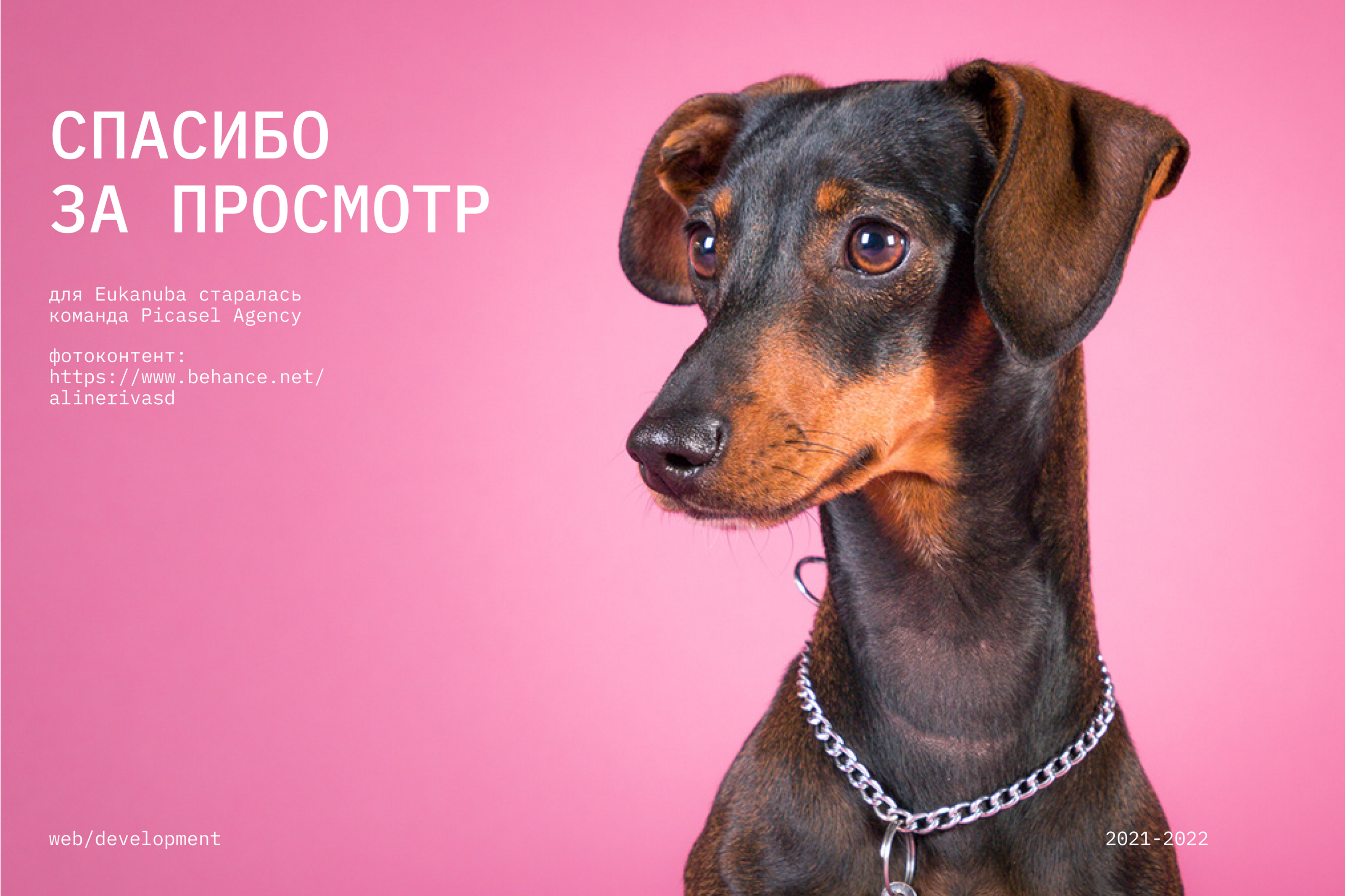 Eukanuba: проекты 2021-2022 — Изображение №8 — Интерфейсы, Маркетинг на Dprofile