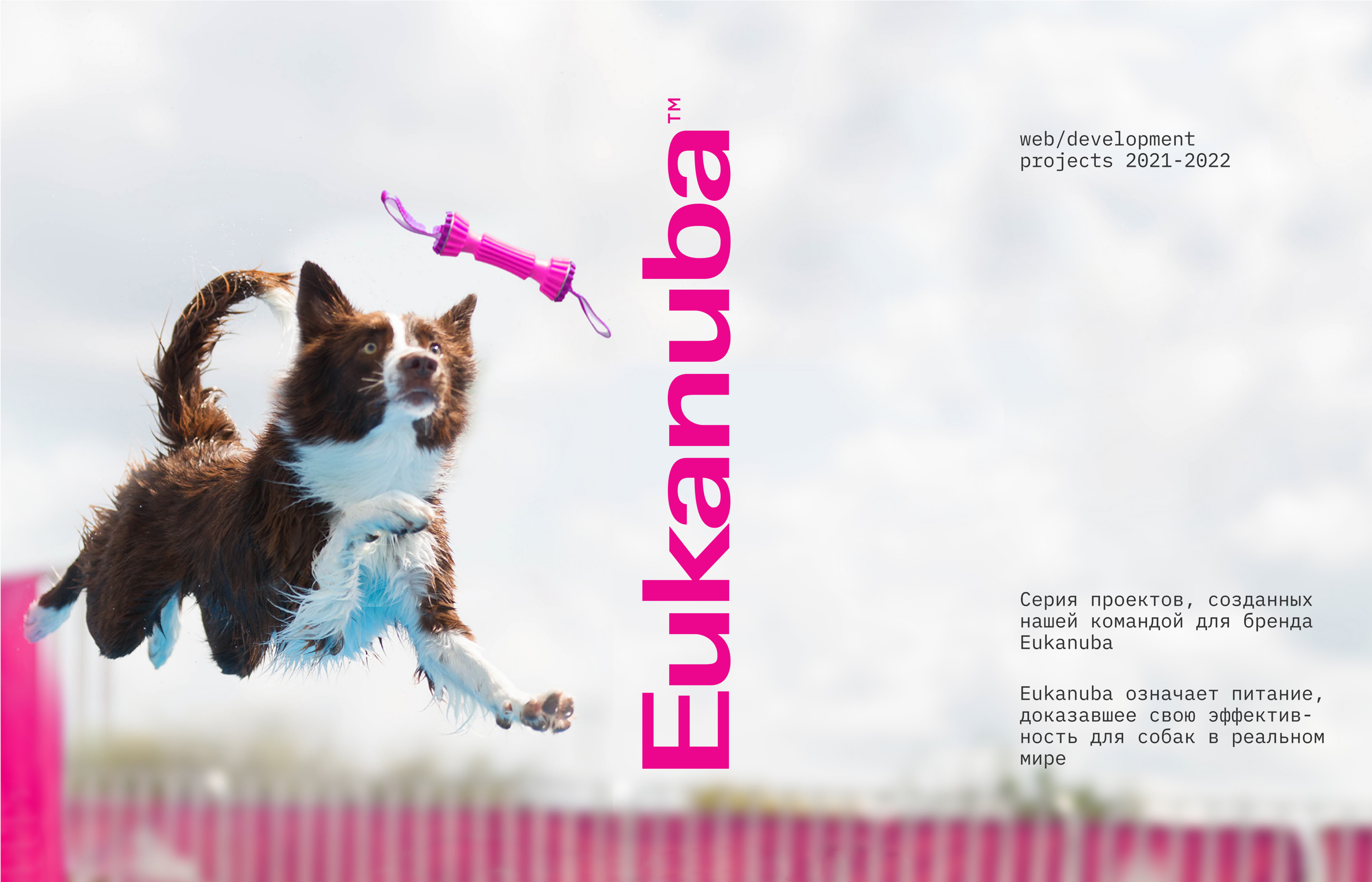 Eukanuba: проекты 2021-2022 — Изображение №1 — Интерфейсы, Маркетинг на Dprofile