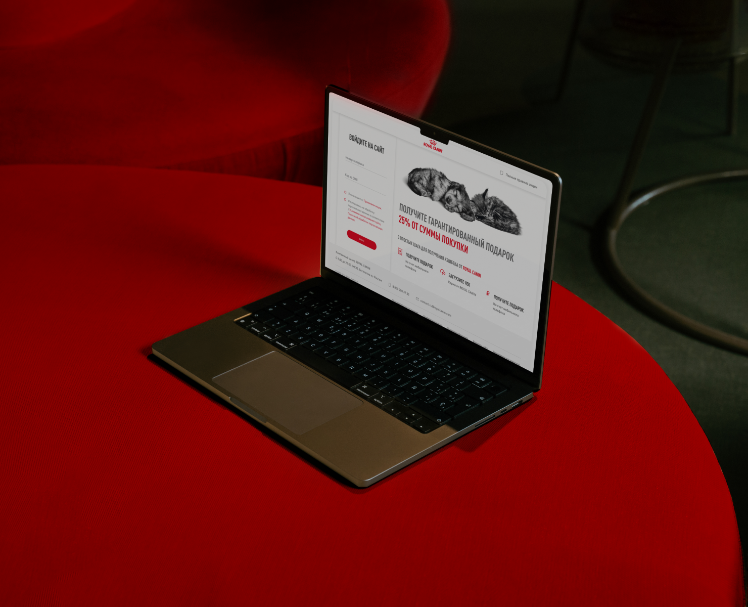 Royal Canin: проекты 2021-2022 — Интерфейсы, Маркетинг на Dprofile