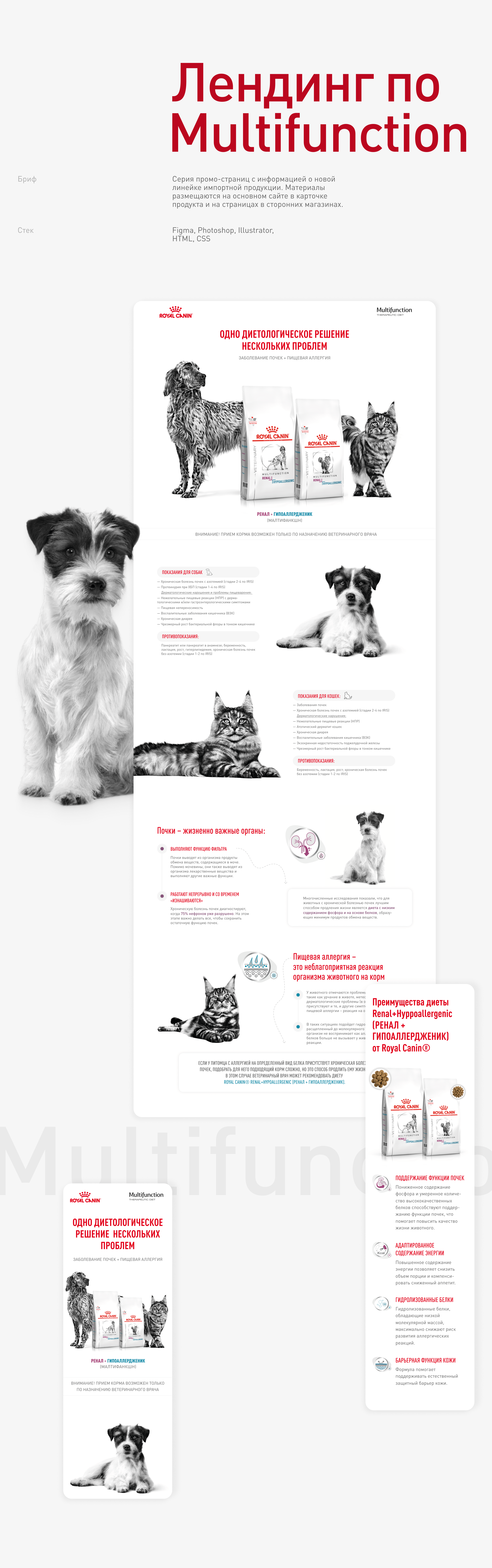 Royal Canin: проекты 2021-2022 — Изображение №12 — Интерфейсы, Маркетинг на Dprofile