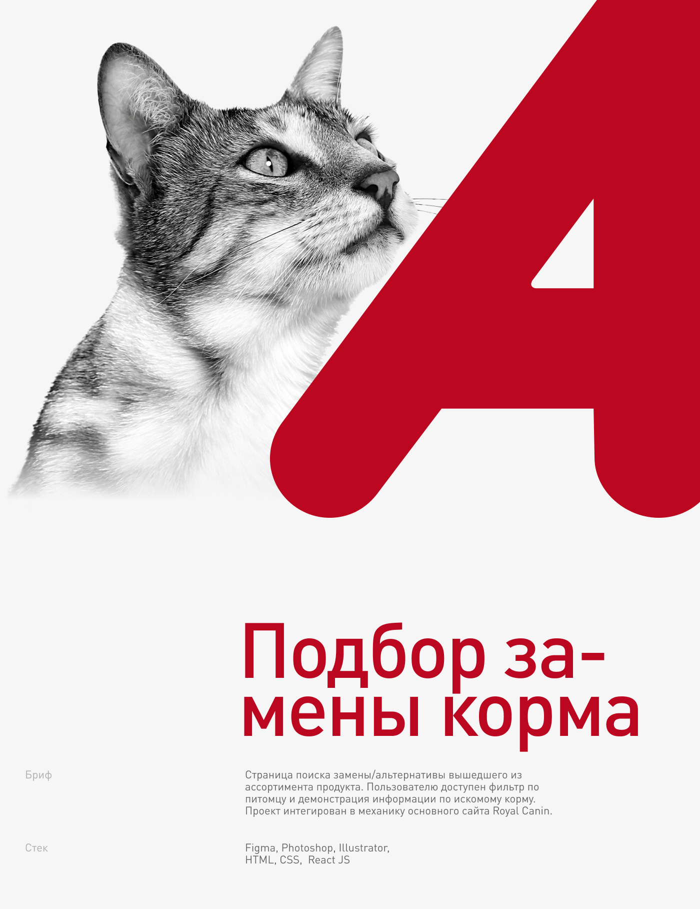 Royal Canin: проекты 2021-2022 — Изображение №8 — Интерфейсы, Маркетинг на Dprofile