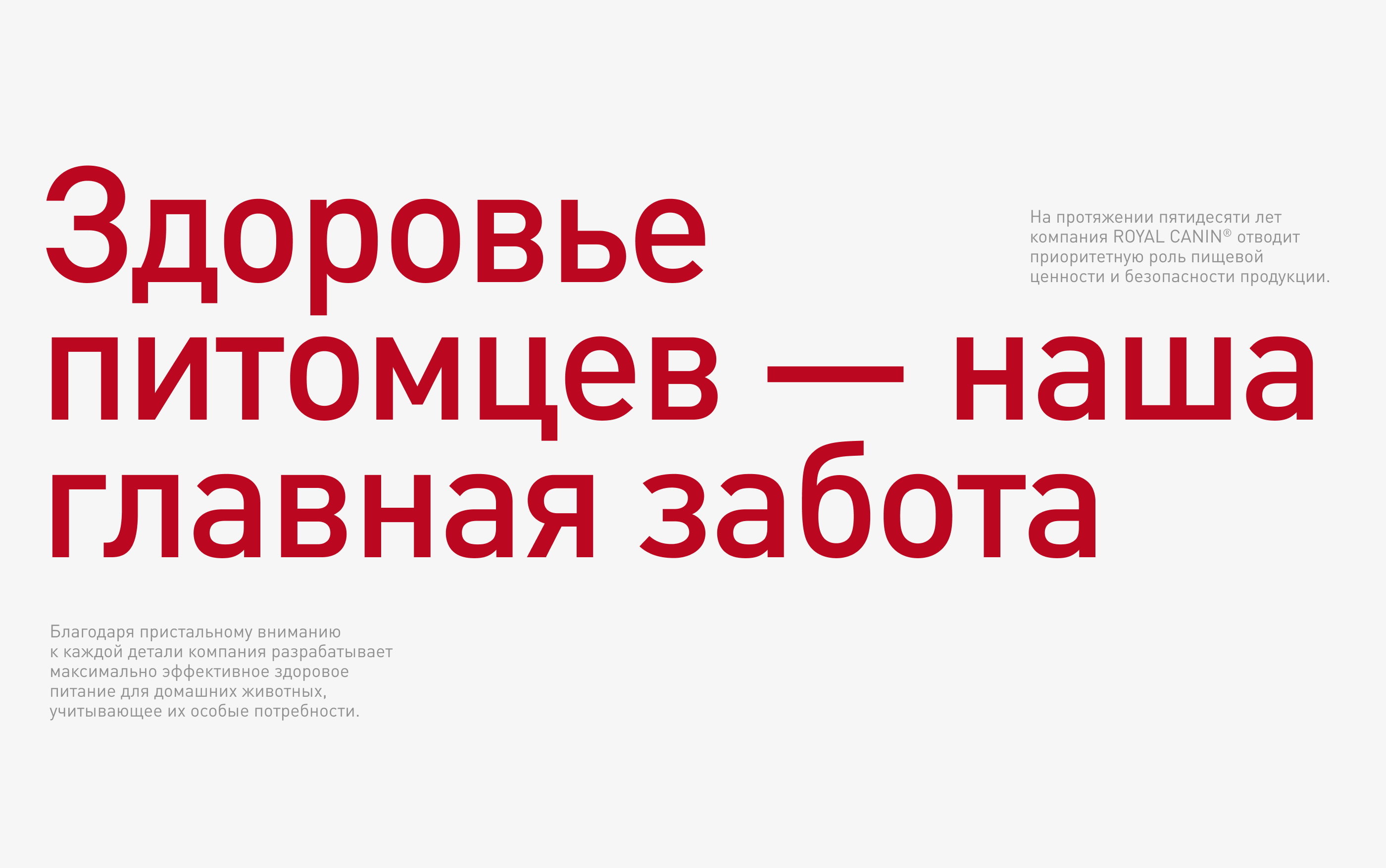 Royal Canin: проекты 2021-2022 — Изображение №2 — Интерфейсы, Маркетинг на Dprofile