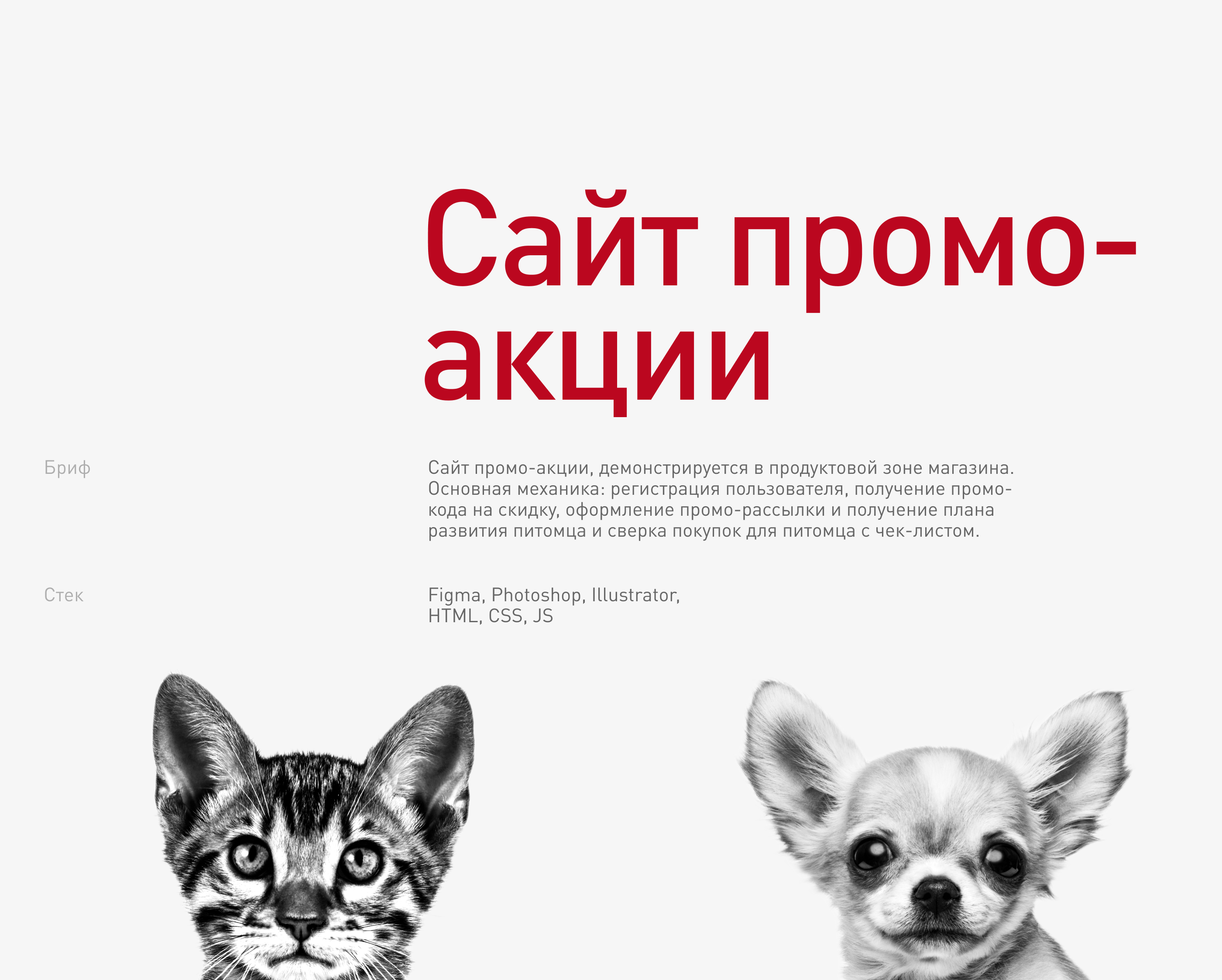 Royal Canin: проекты 2021-2022 — Изображение №11 — Интерфейсы, Маркетинг на Dprofile