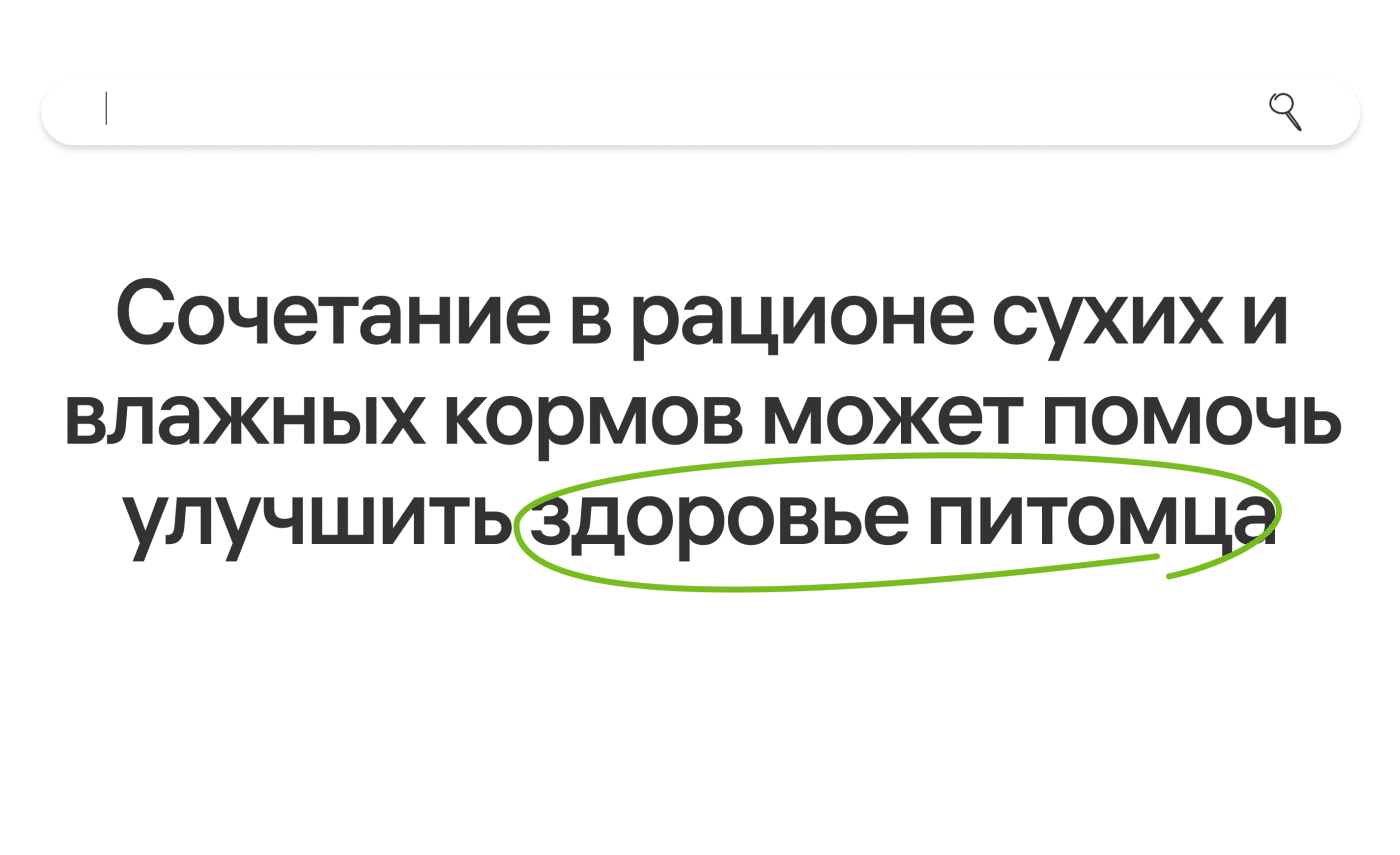 Лендинг для зоомагазина Ле'муррр — Изображение №2 — Интерфейсы, Маркетинг на Dprofile