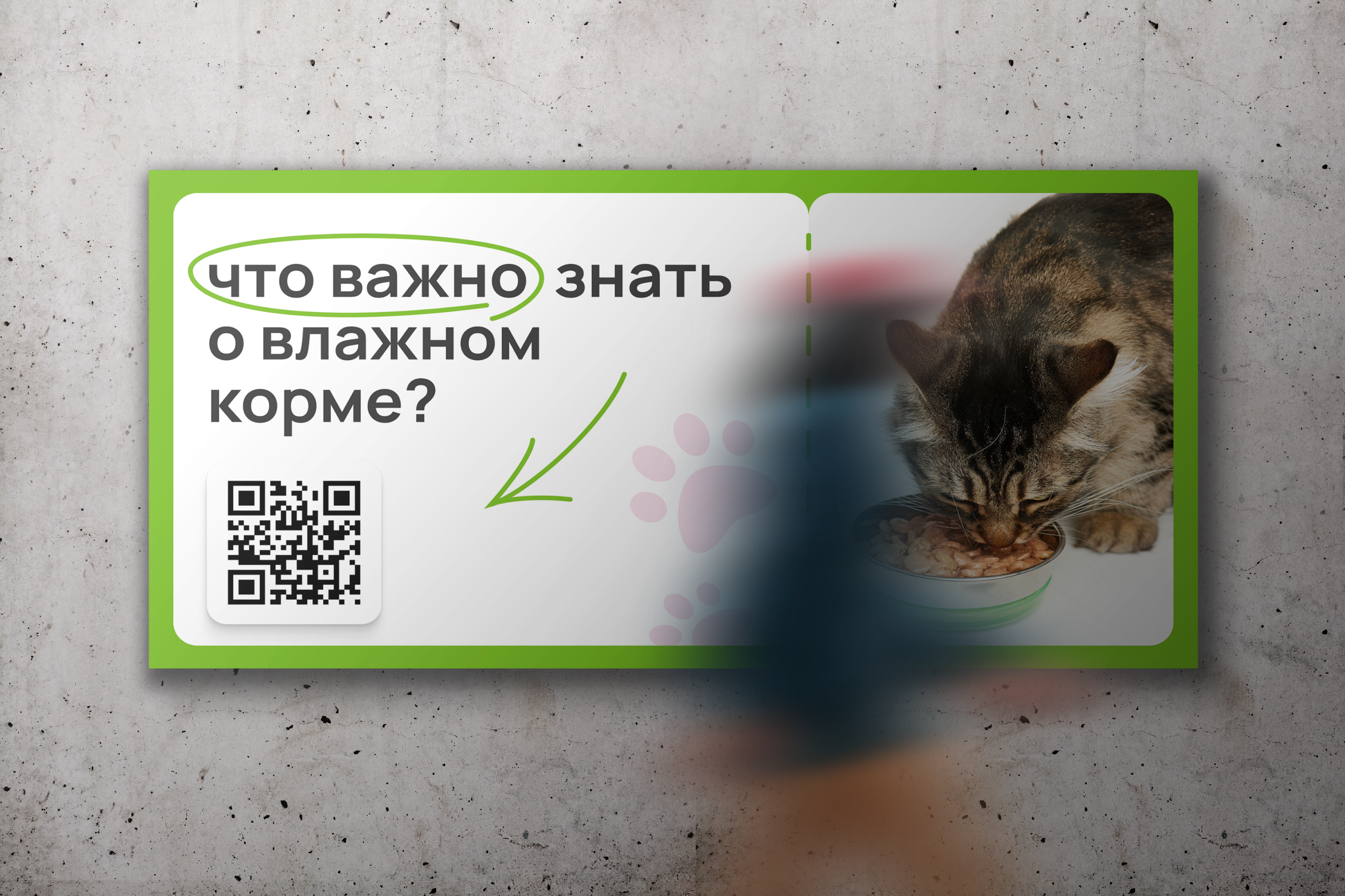 Лендинг для зоомагазина Ле'муррр — Изображение №5 — Интерфейсы, Маркетинг на Dprofile