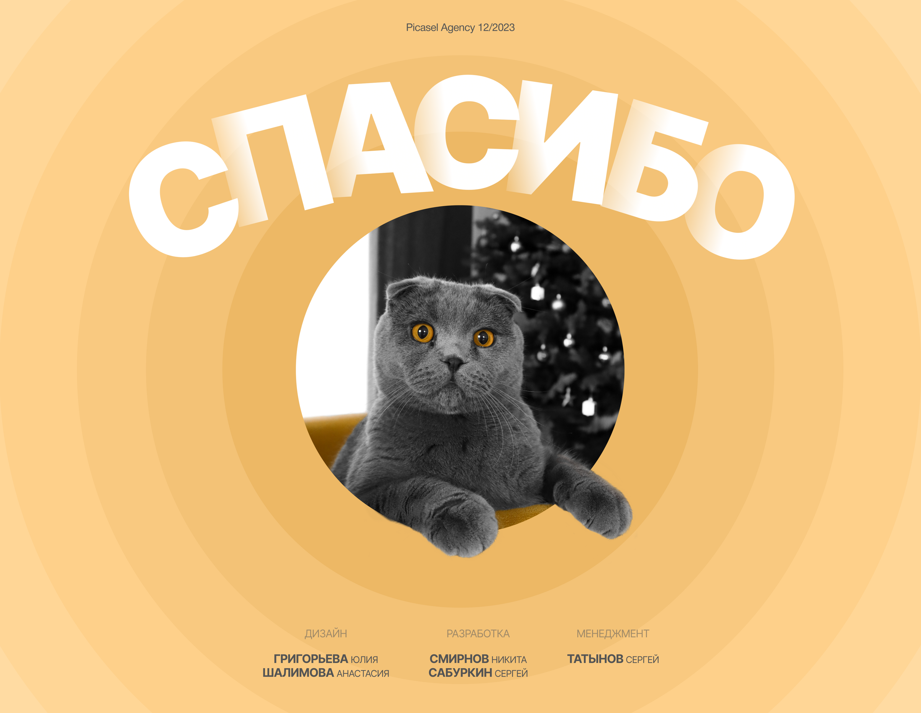 Подборщик корма для породных животных — Изображение №15 — Интерфейсы, Маркетинг на Dprofile