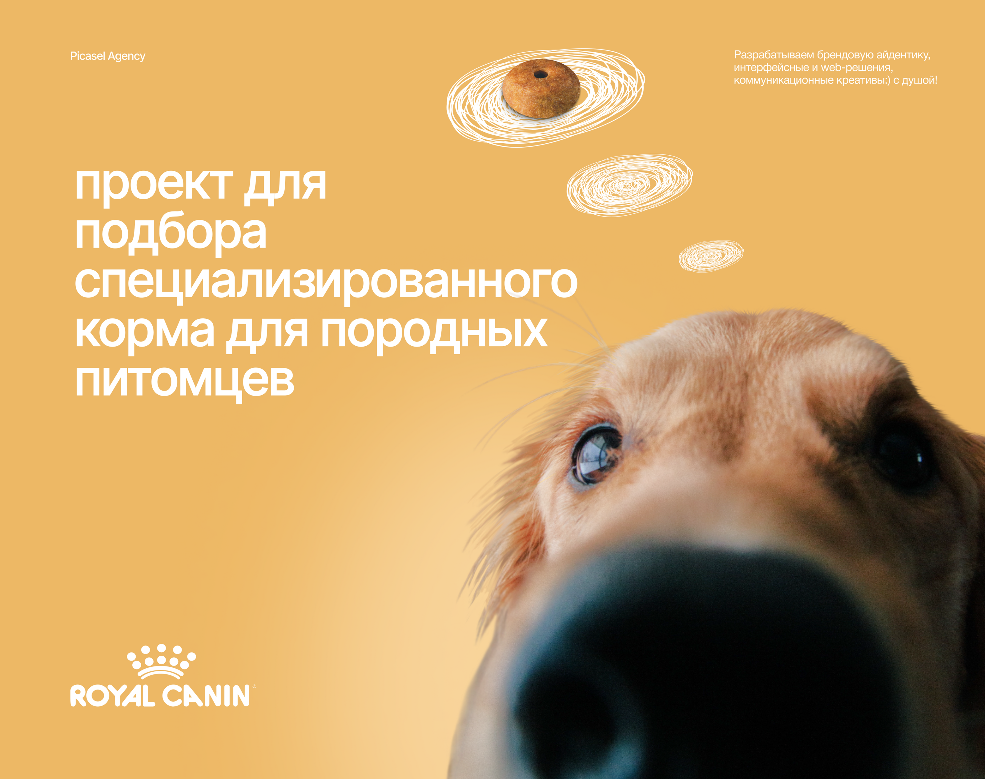 Подборщик корма для породных животных — Изображение №1 — Интерфейсы, Маркетинг на Dprofile
