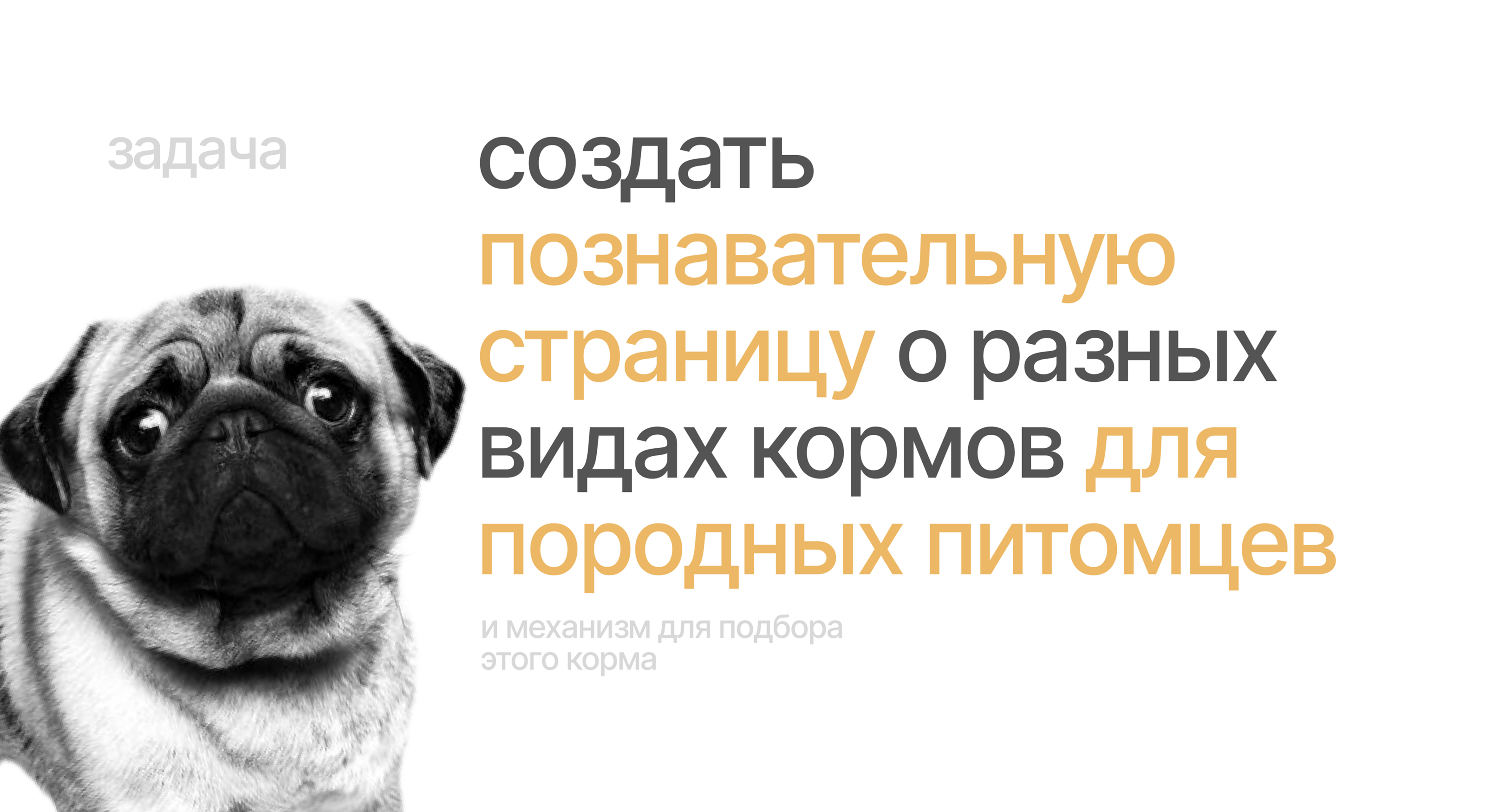 Подборщик корма для породных животных — Изображение №2 — Интерфейсы, Маркетинг на Dprofile