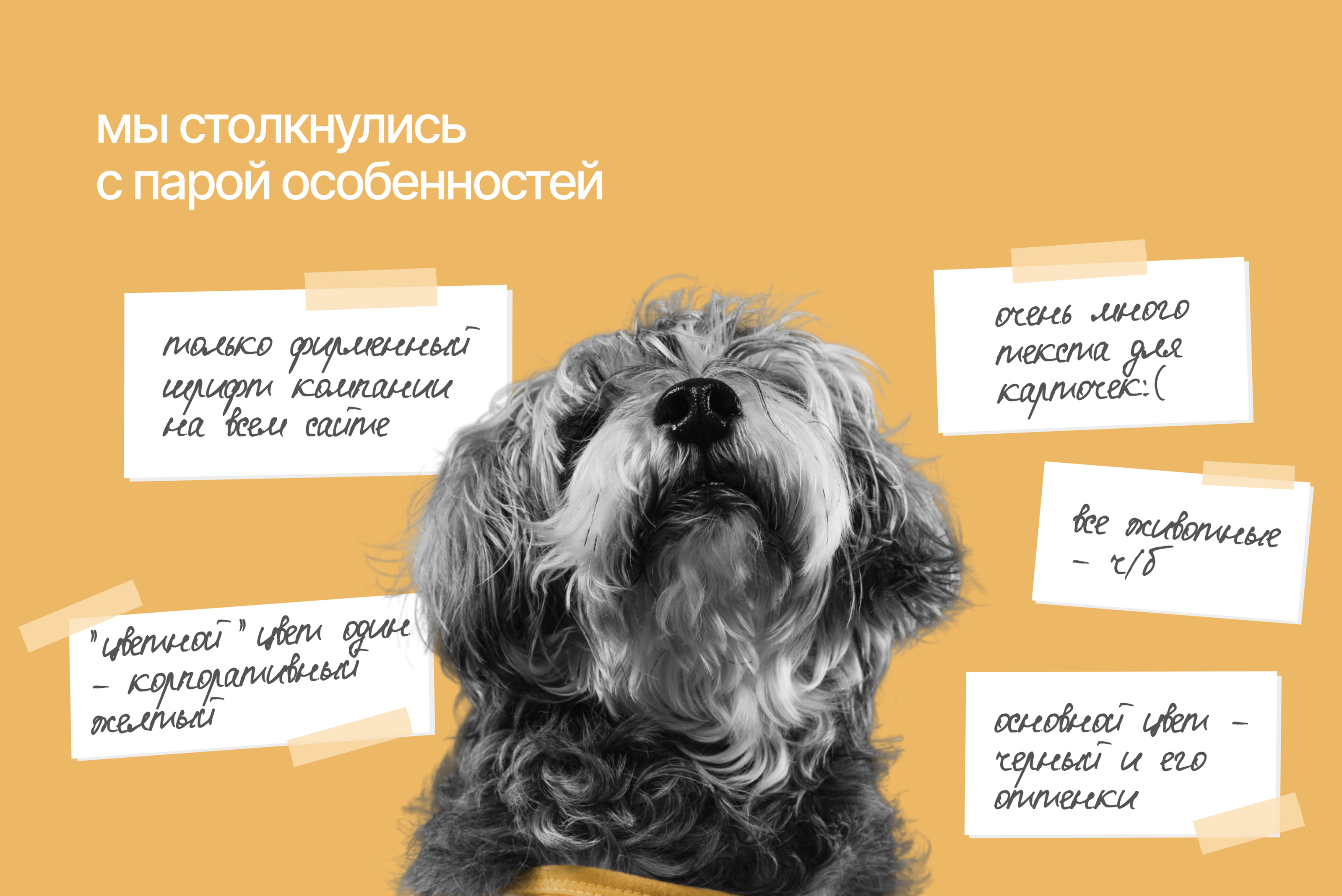 Подборщик корма для породных животных — Изображение №3 — Интерфейсы, Маркетинг на Dprofile