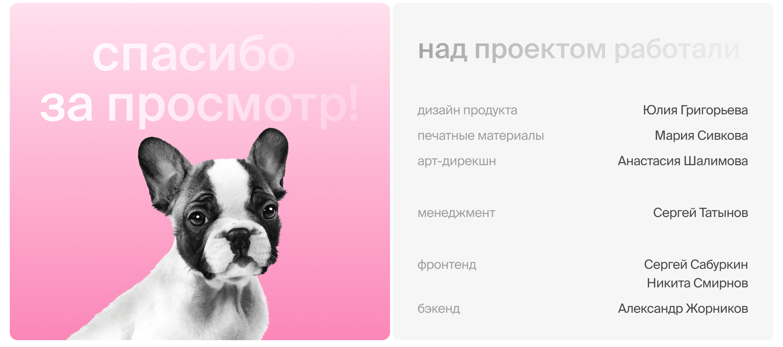 Бонусная система «Здоровый питомец» — Изображение №12 — Интерфейсы, Маркетинг на Dprofile
