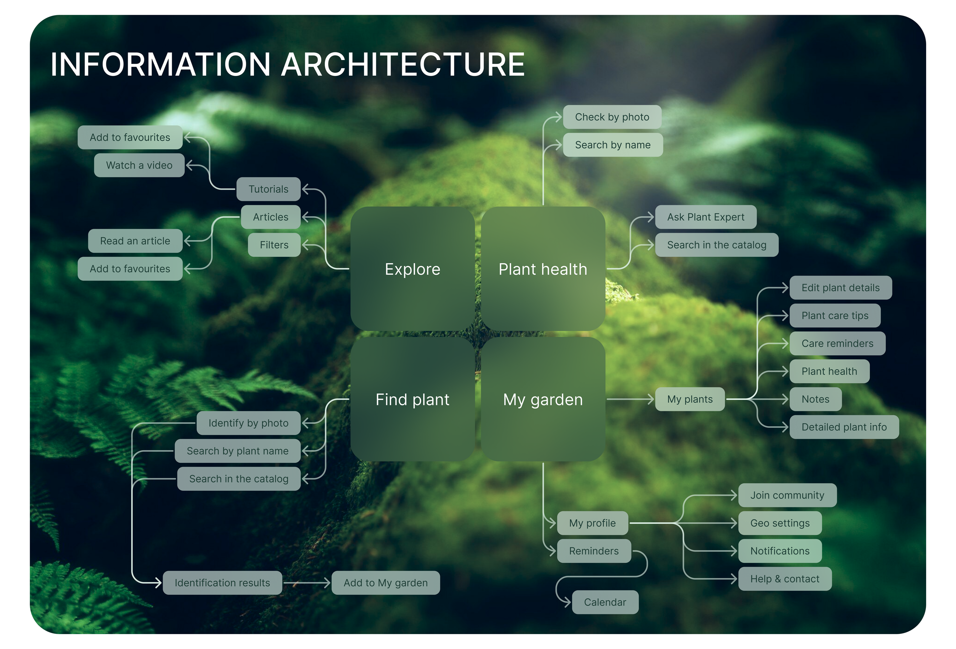 Plant Care App | Mobile | UX/UI — Изображение №9 — Интерфейсы на Dprofile