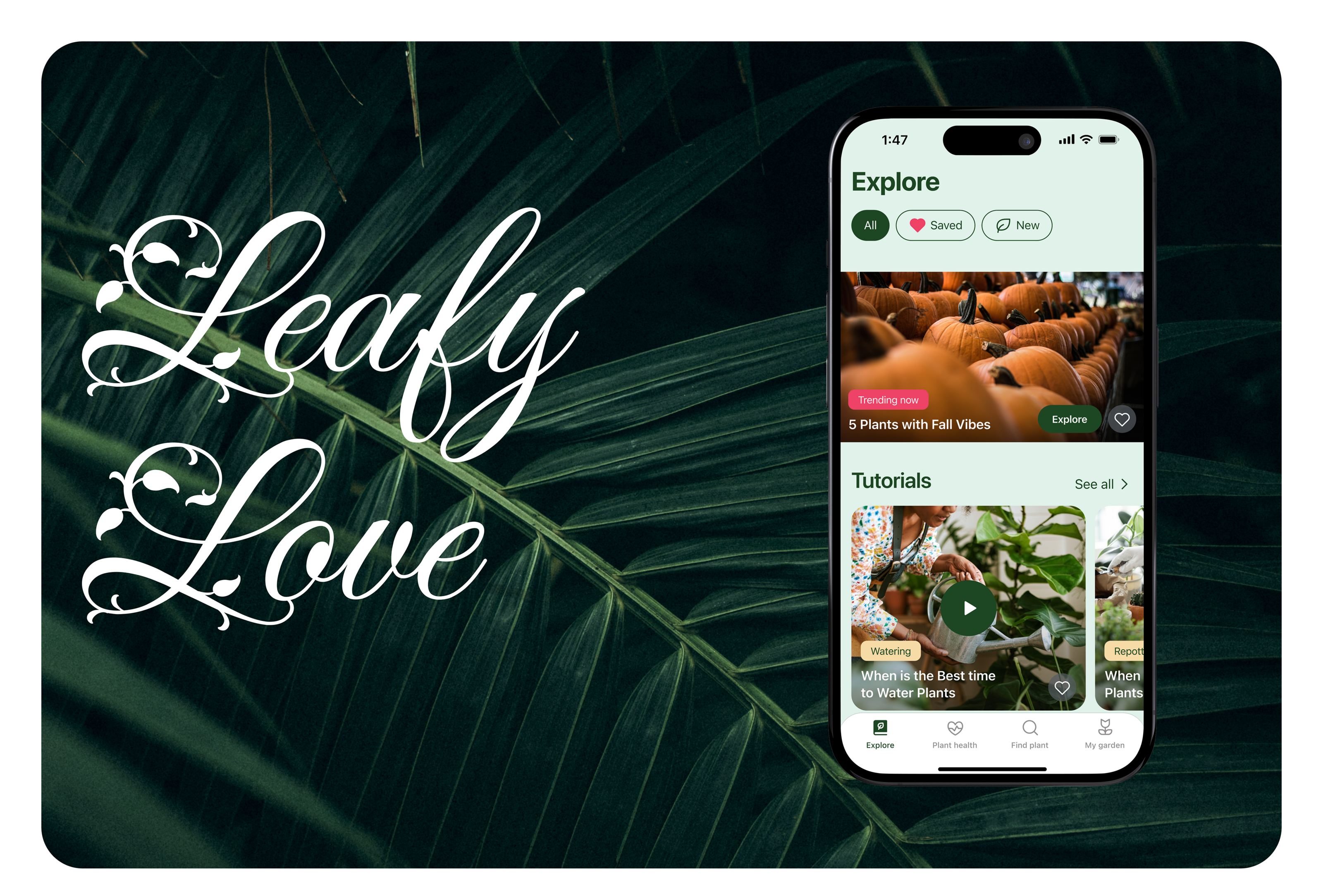 Plant Care App | Mobile | UX/UI — Изображение №1 — Интерфейсы на Dprofile