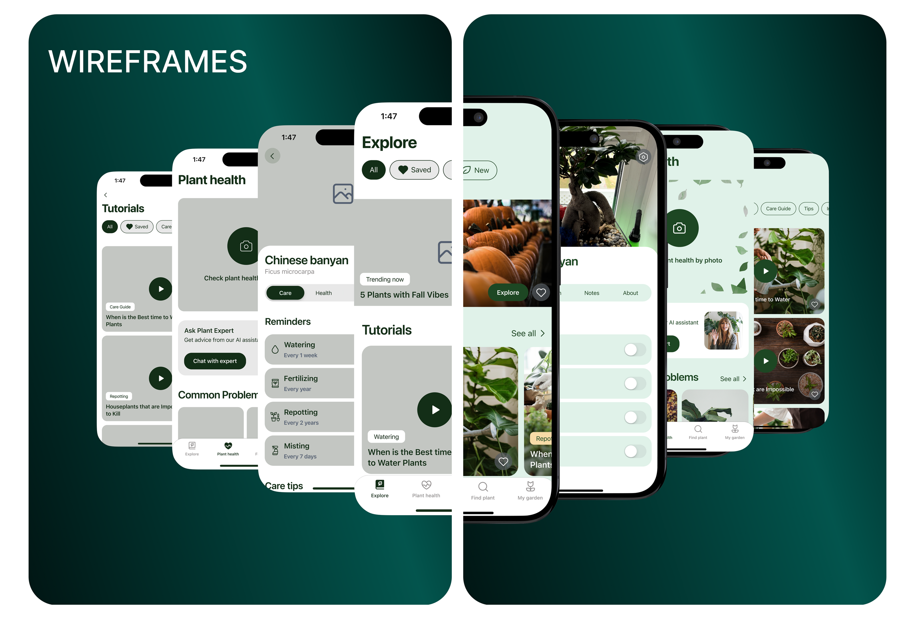 Plant Care App | Mobile | UX/UI — Изображение №10 — Интерфейсы на Dprofile