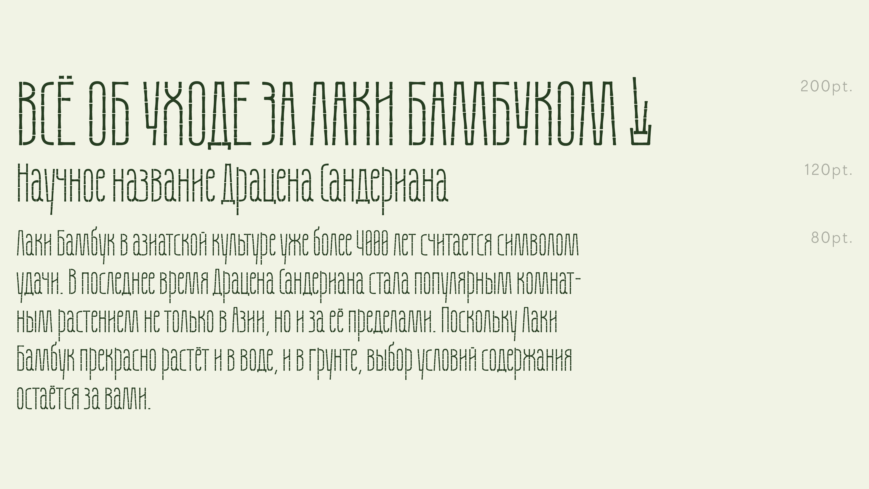 Бамбуковый шрифт Данила — Изображение №21 — Графика на Dprofile