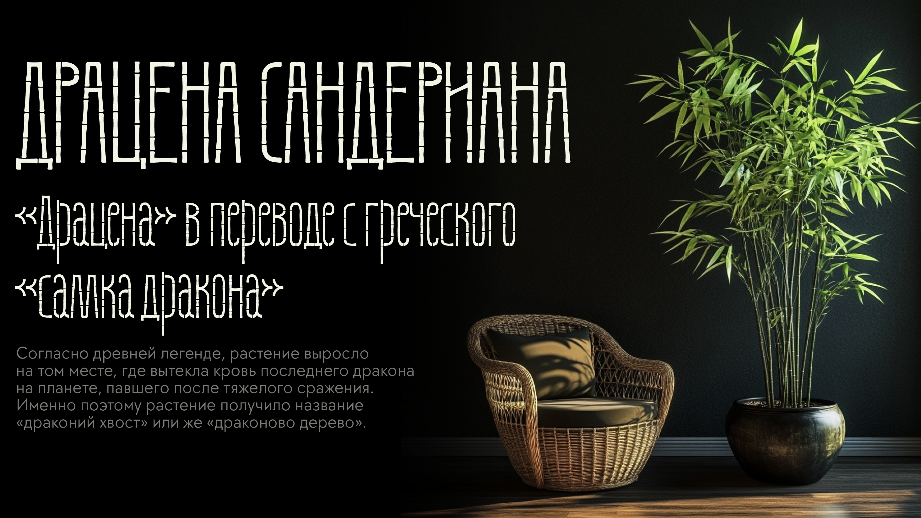 Бамбуковый шрифт Данила — Изображение №8 — Графика на Dprofile