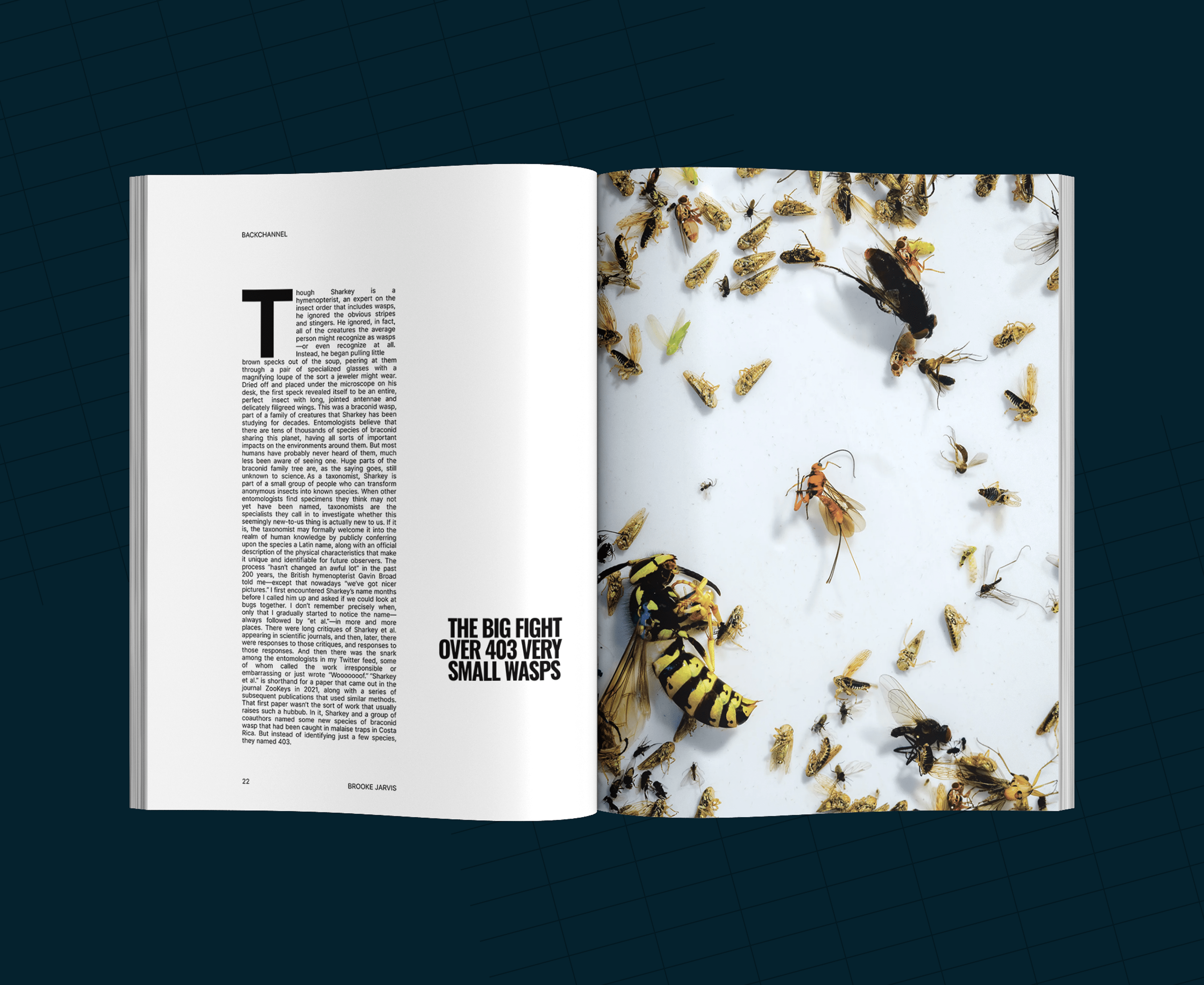 WIRED - Redesign Concept — Изображение №3 — Интерфейсы на Dprofile