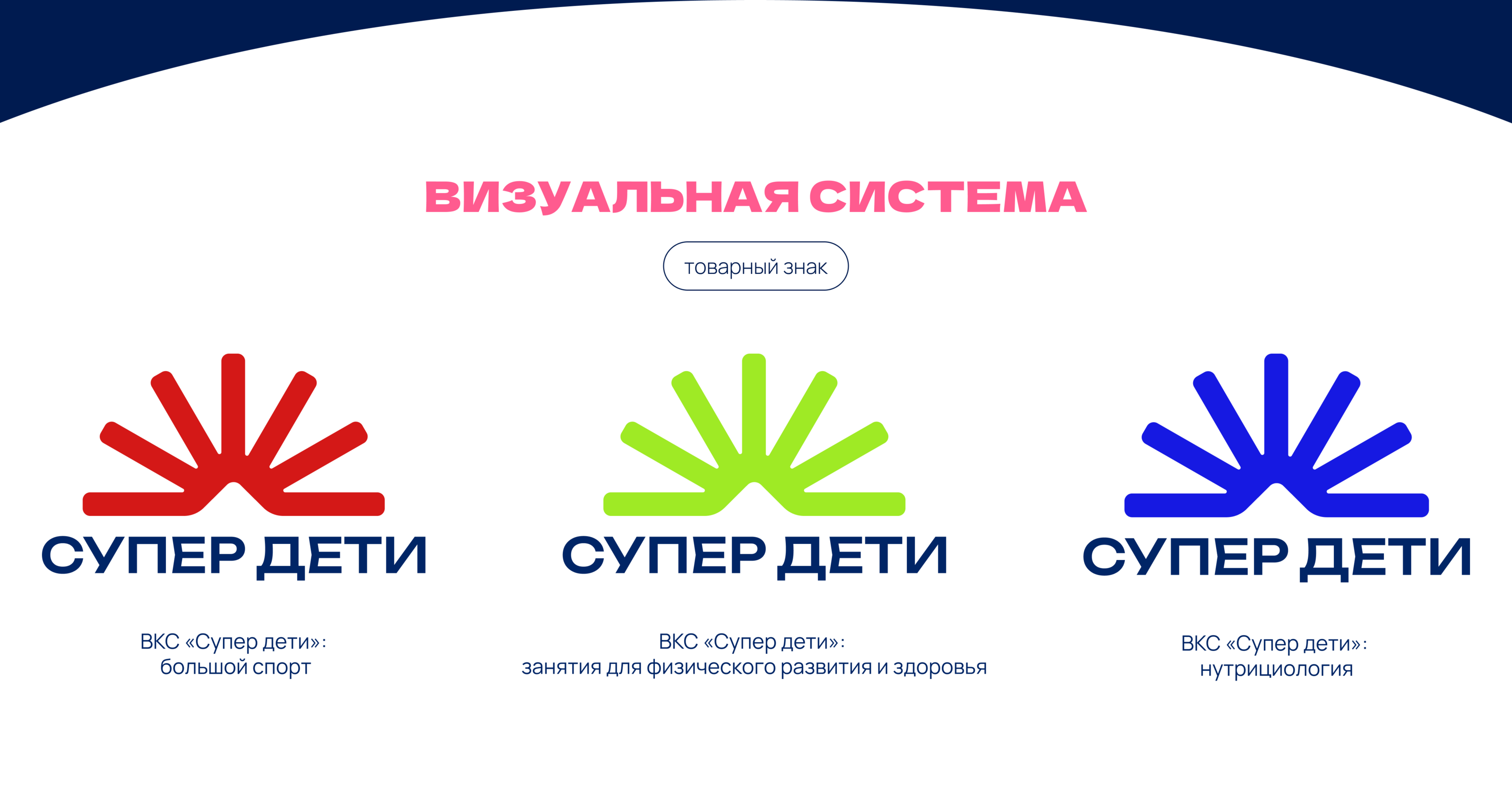 Всеволожска корпорация спорта ВКС — Изображение №5 — Брендинг на Dprofile