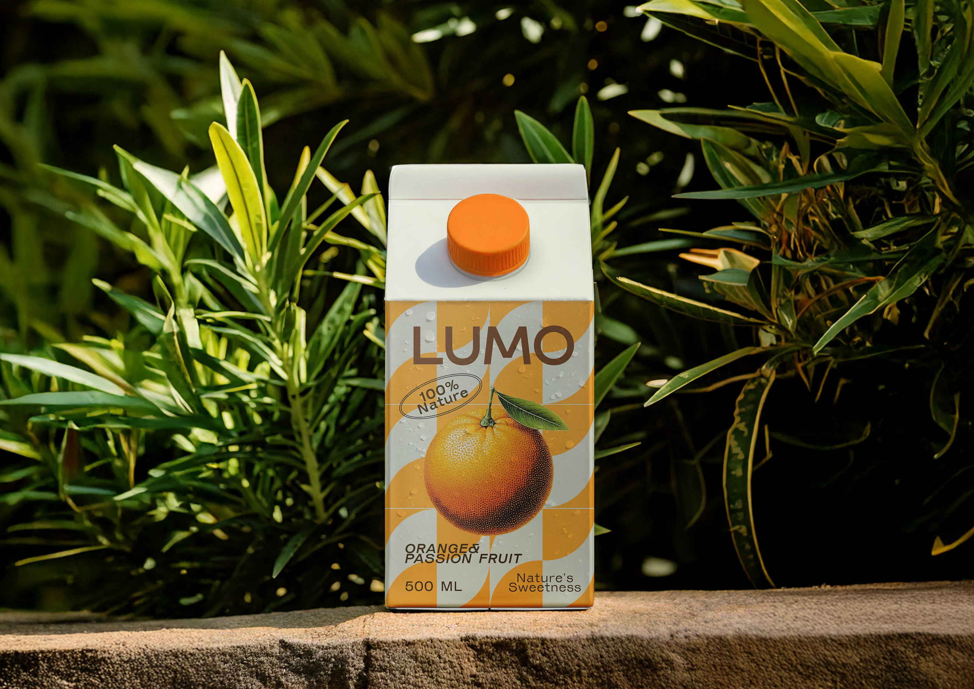 LUMO | Дизайн упаковки сока — Изображение №1 — Брендинг, Графика на Dprofile