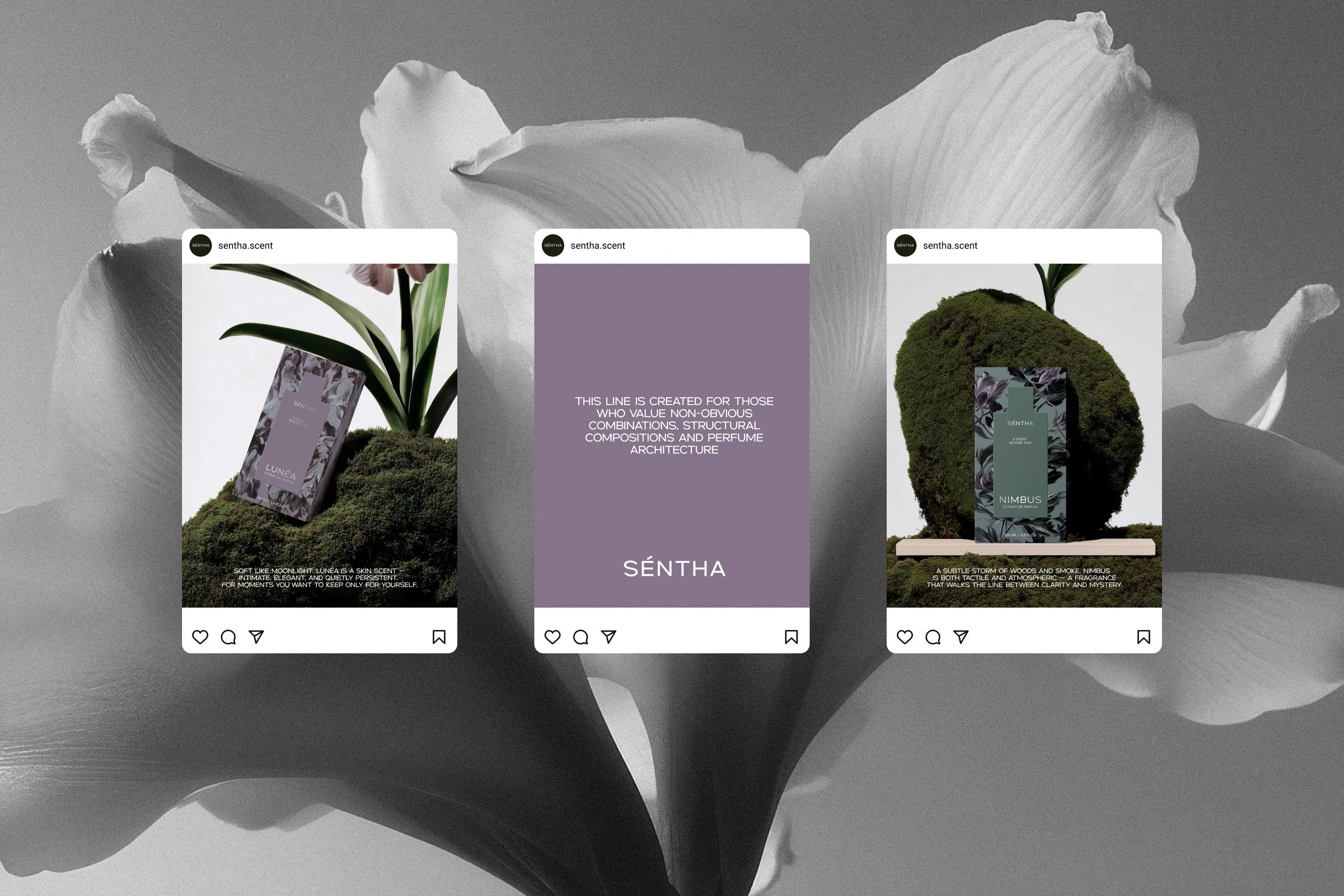 SENTHA | Дизайн упаковки парфюма — Изображение №10 — Брендинг, Графика на Dprofile