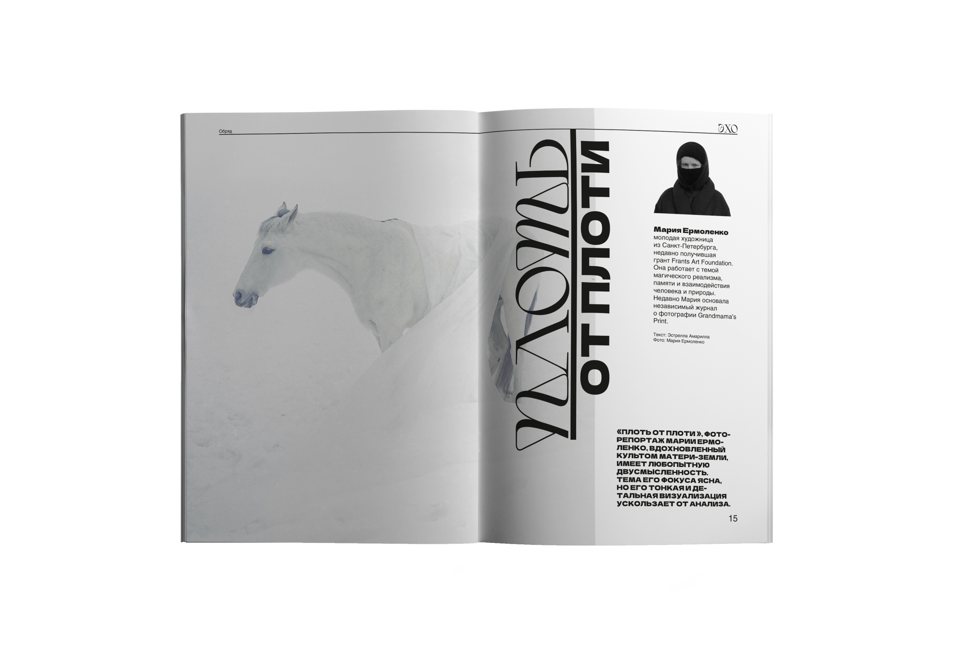 Концепт журнала «Эхо» — Изображение №5 — Графика на Dprofile