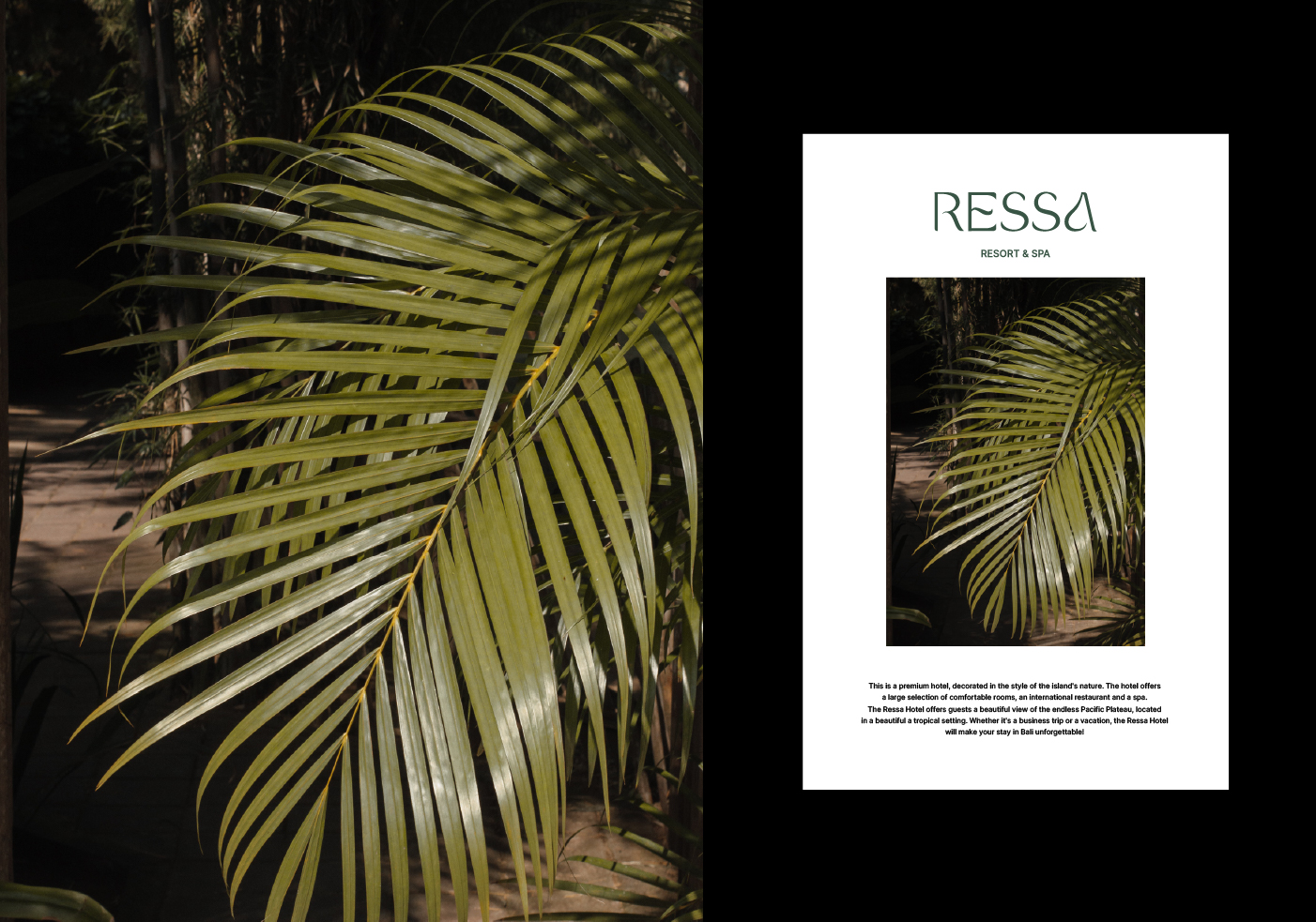 IDENTITY FOR RESORT & SPA "RESSA" — Изображение №5 — Брендинг, Графика на Dprofile